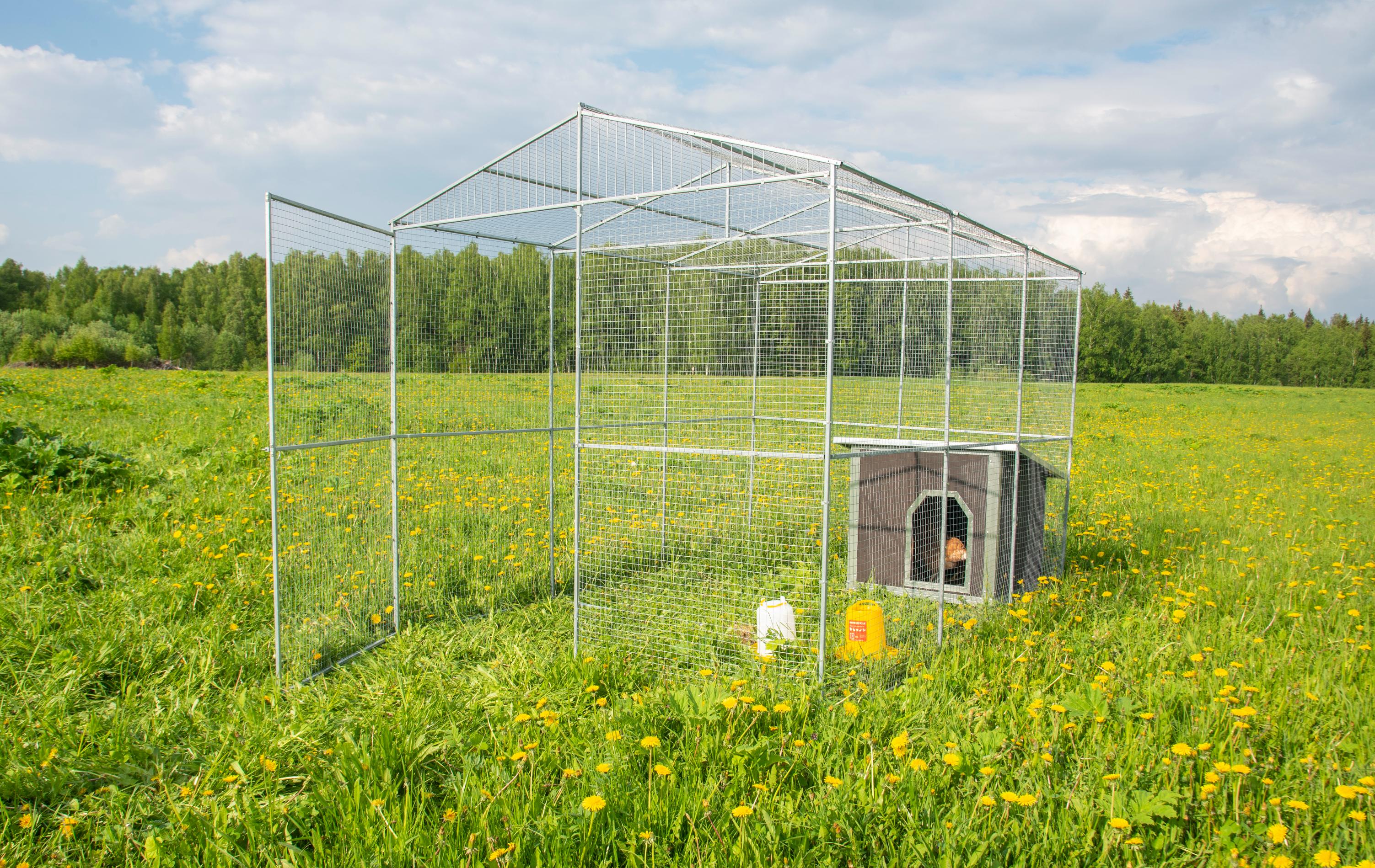 Выгул "Разгуляй" из сетки 2-6-С. Фото 7