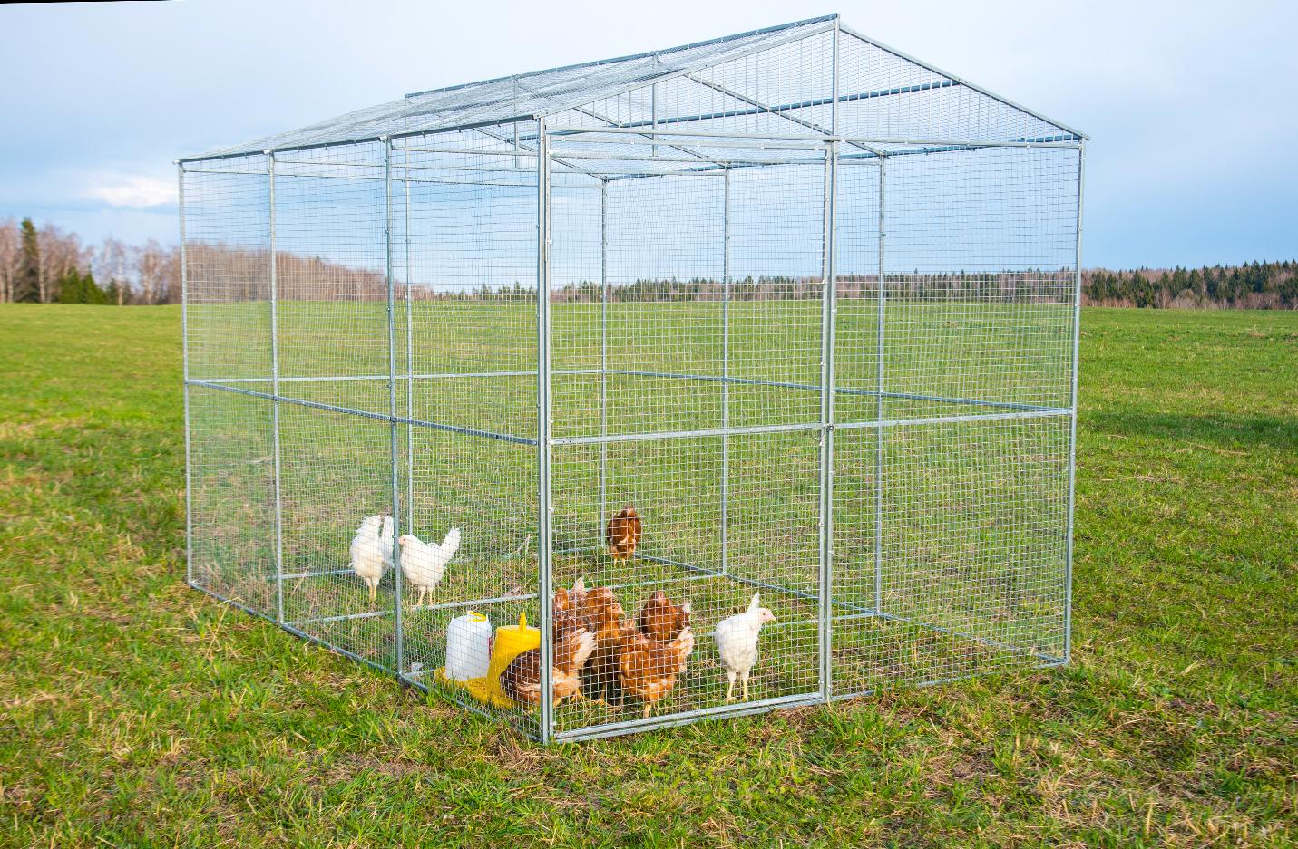 Выгул "Разгуляй" из сетки 2-7-С . Фото 2