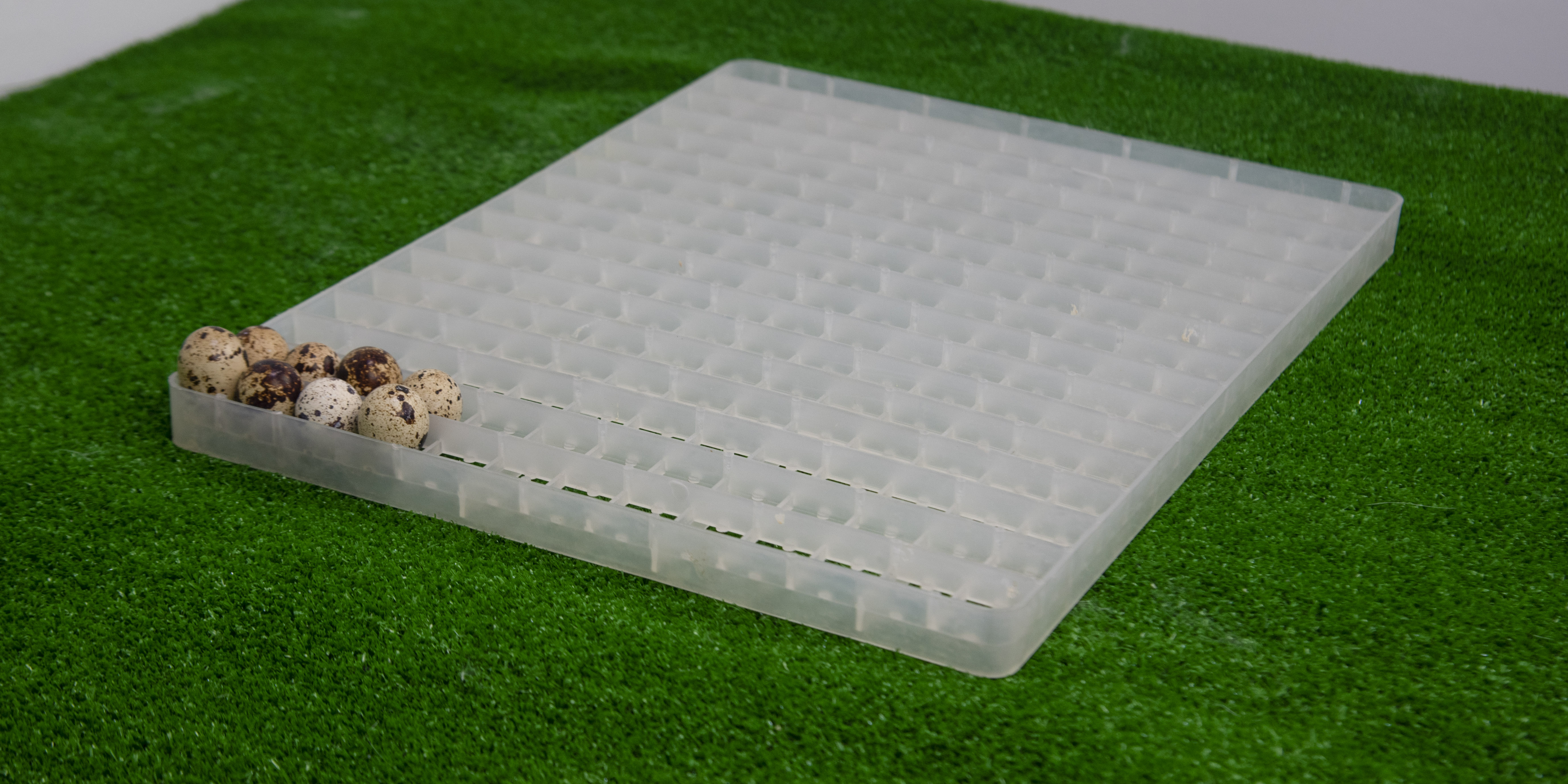 Сотовый лоток для перепелиных яиц. Фото 1