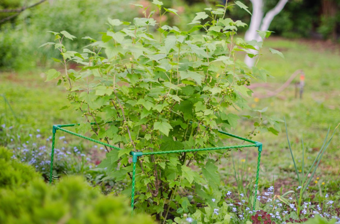 Ограждение для кустарников 0,9 м. Фото 2