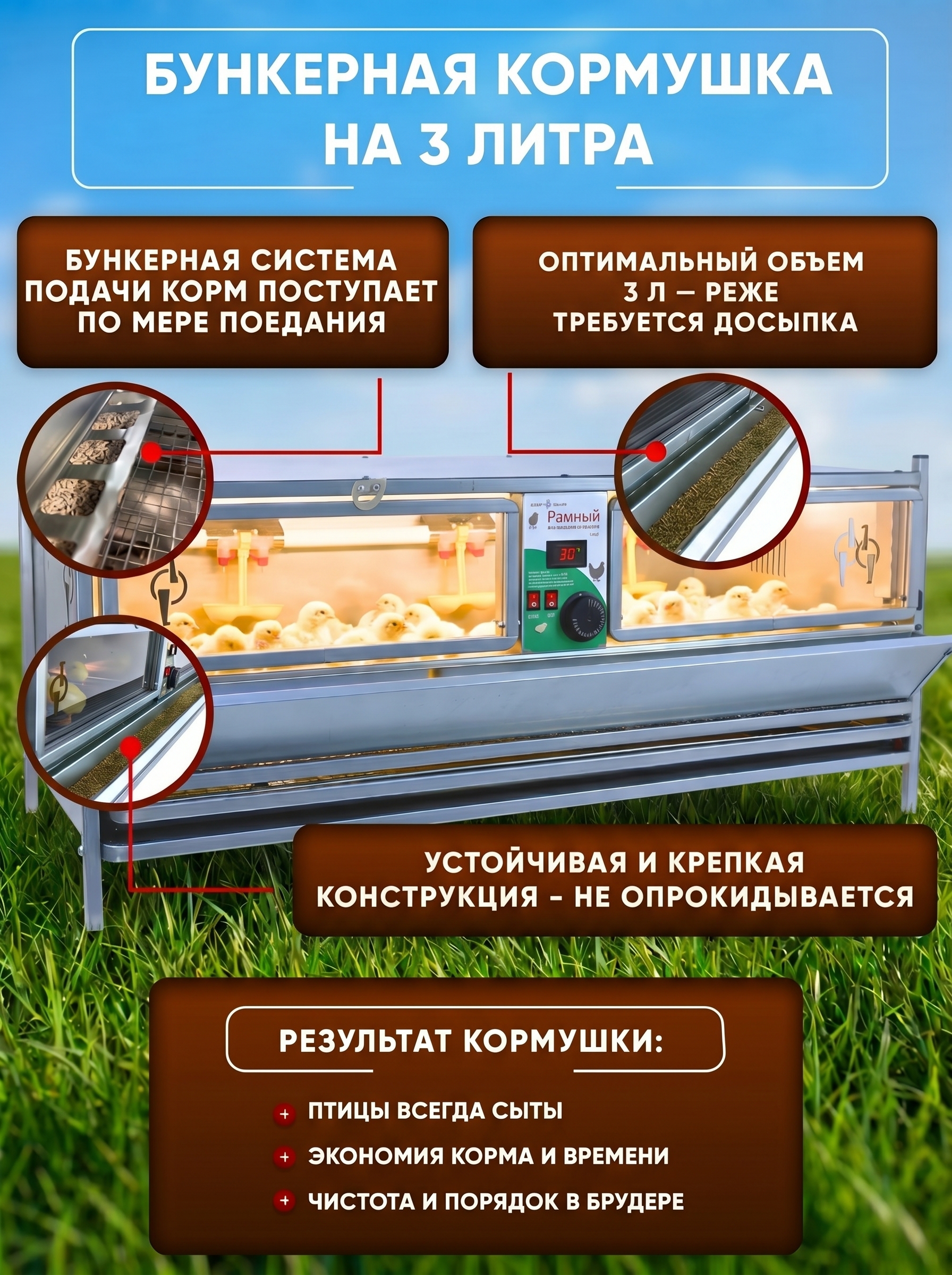 Рамный автоматический брудер 0706 Стандарт. Фото 6 Рамный автоматический брудер 0706 Стандарт. Фото 6