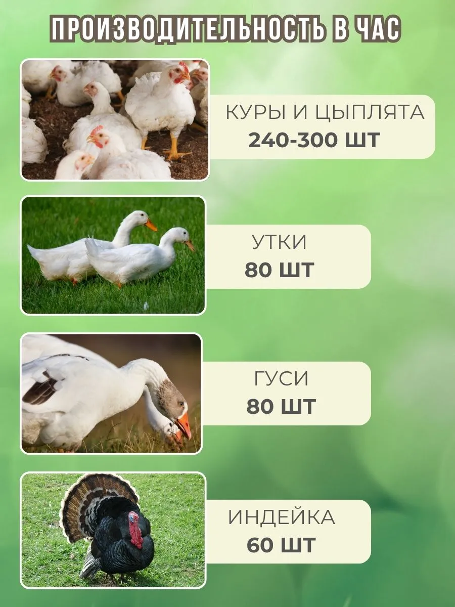 Шпарчан "Автоградус-4000 Индо Бульбар". Фото 6