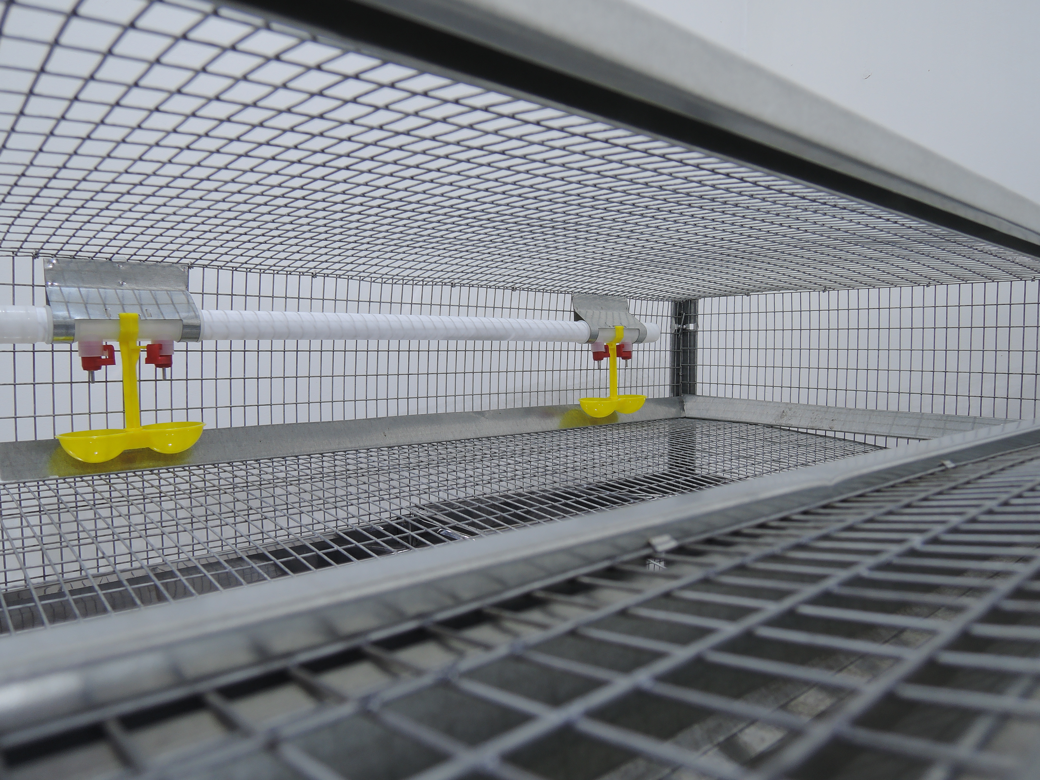 Клетка для перепелов "Гранд" на 50 голов. Фото 1