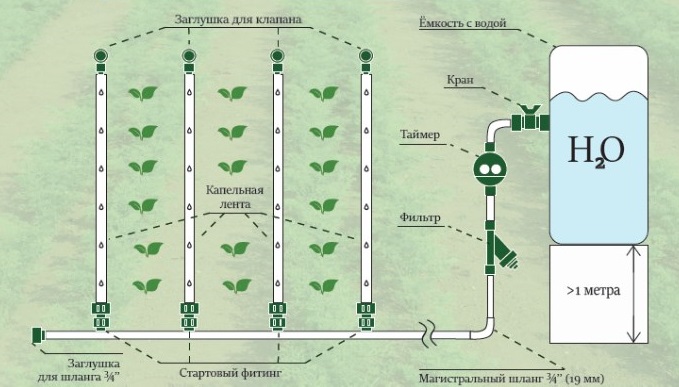 Система капельного полива  для грядки. Фото 1