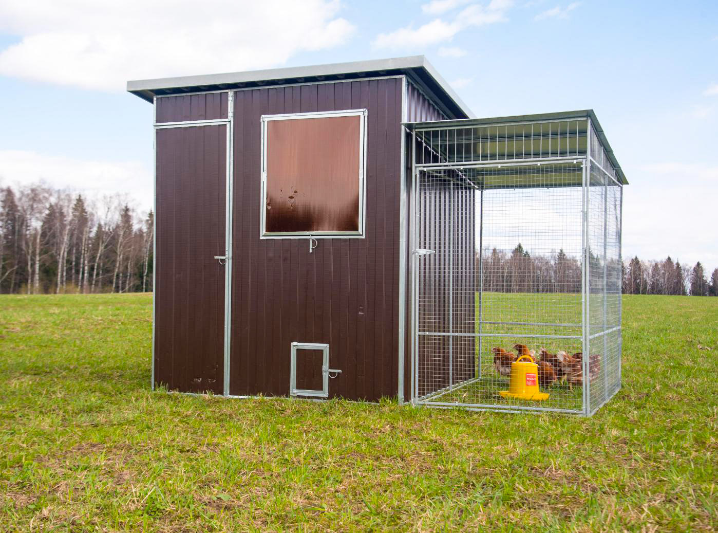 Выгул "Разгуляй" из сетки 1-1-С. Фото 2