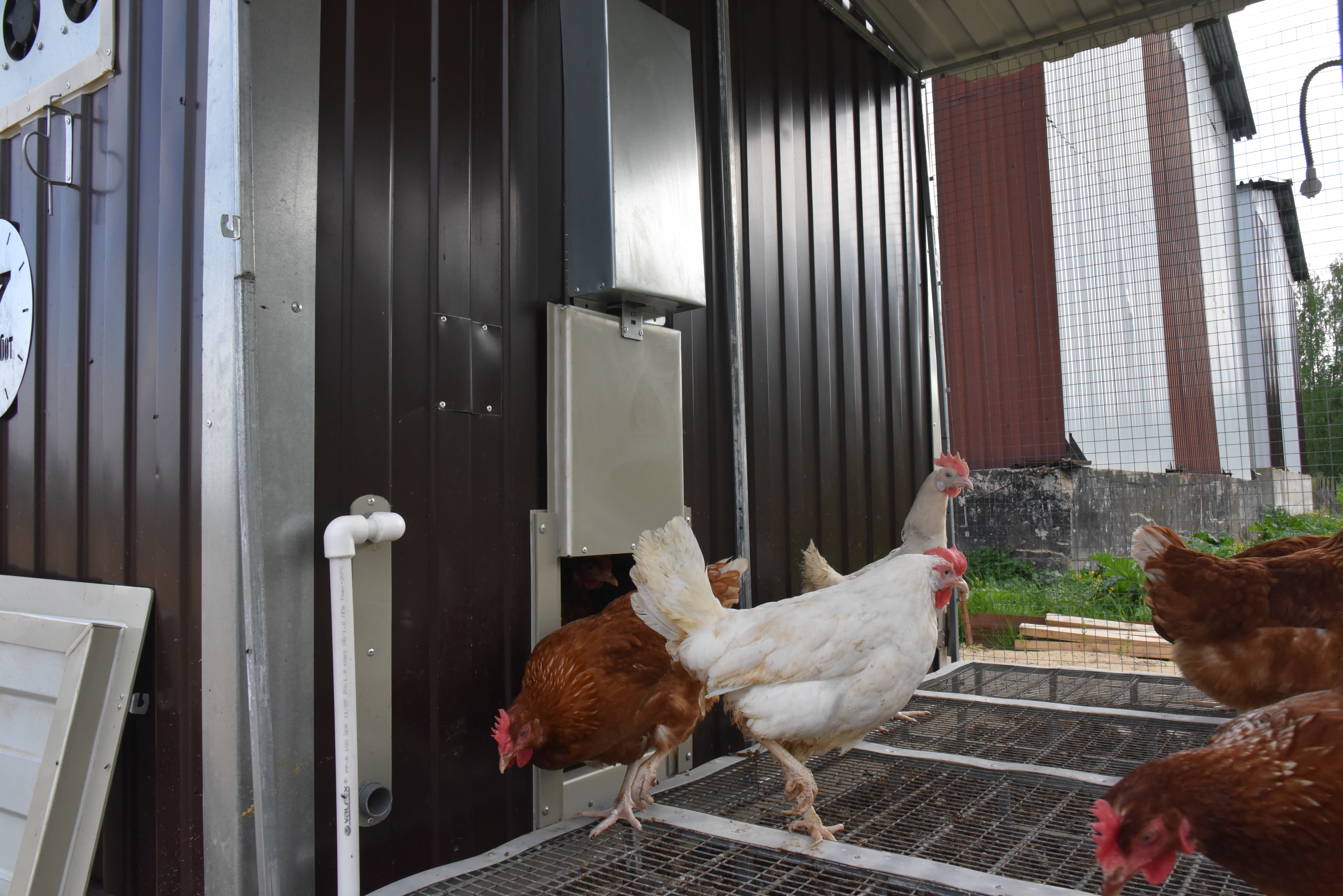 Выгул "Разгуляй" приставной из сетки 1-1-СП. Фото 23