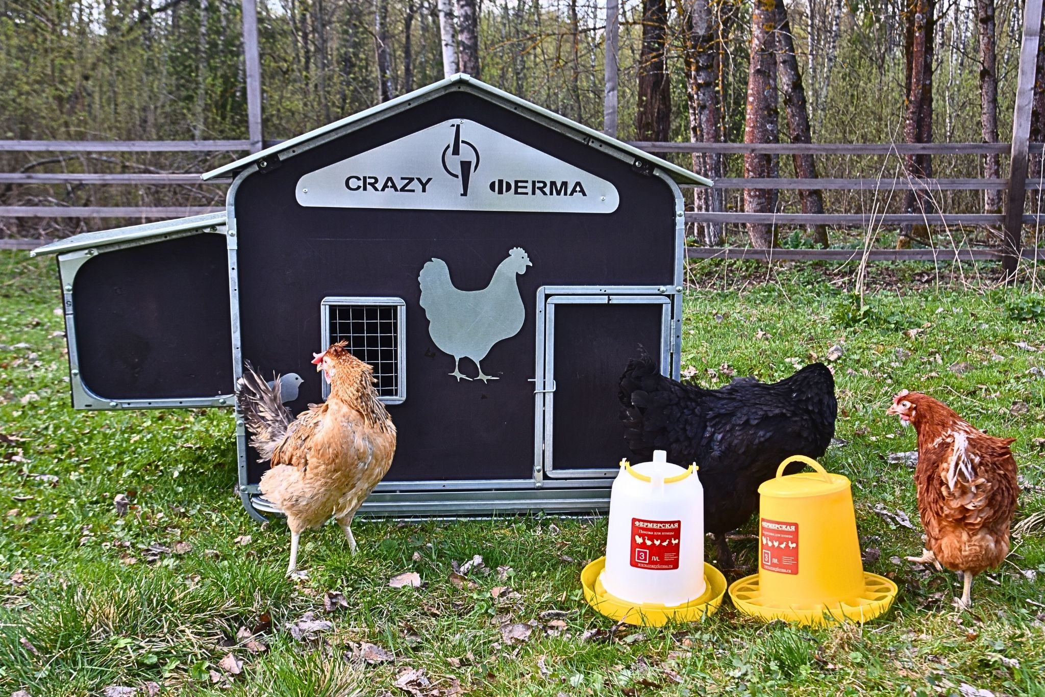 Выгул для курятника "Фаворит" на 8-10 кур. Фото 22