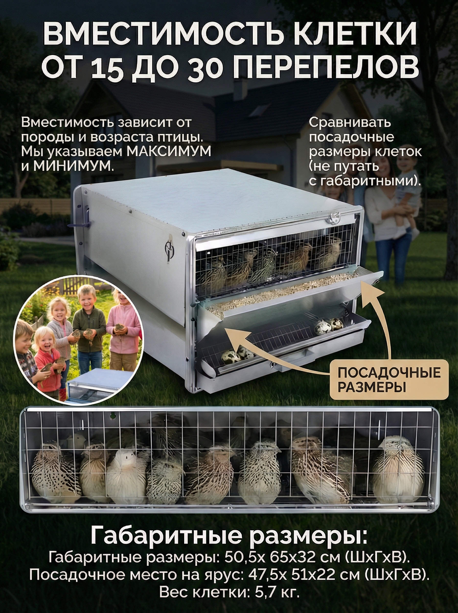 Рамная клетка для перепелов на 60 голов. Фото 11