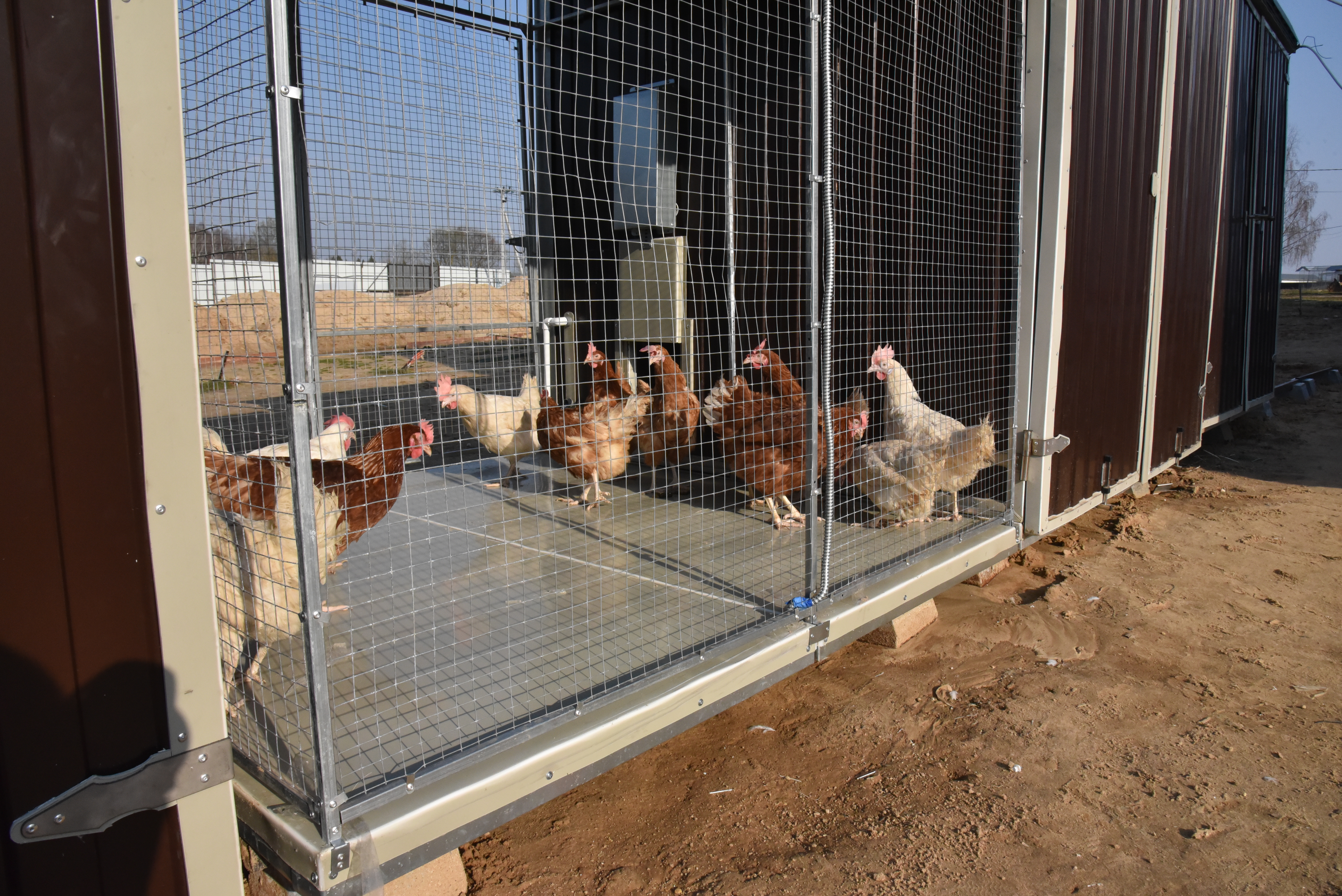 Выгул "Разгуляй" приставной из сетки 1-2-СП. Фото 12