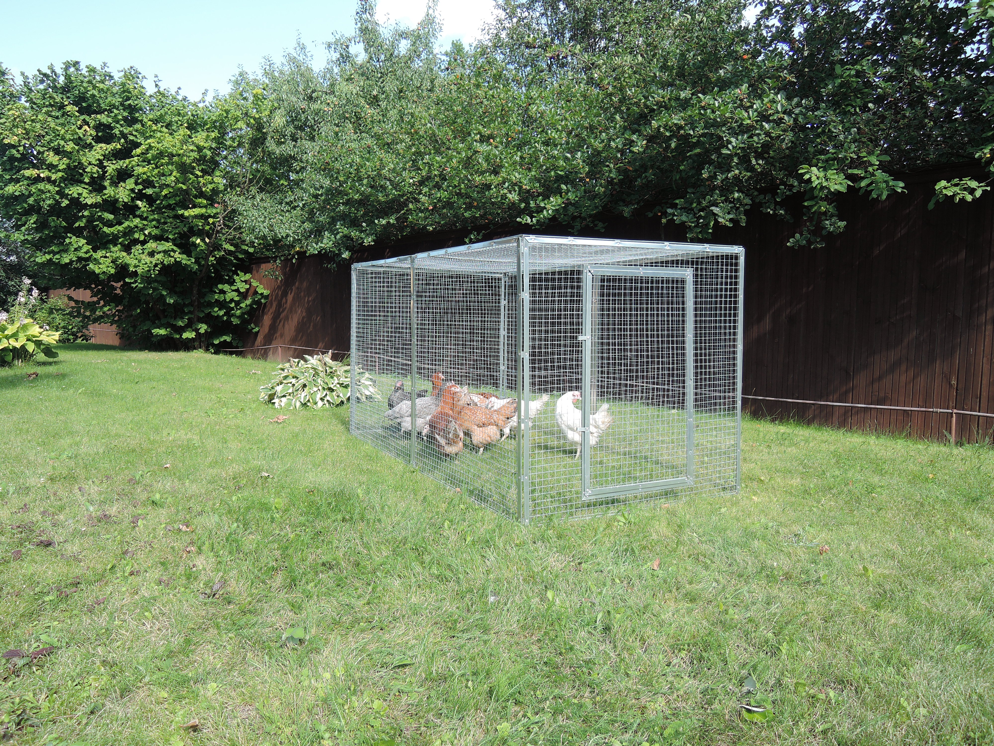 Выгул "Лужайка"-3. Фото 8