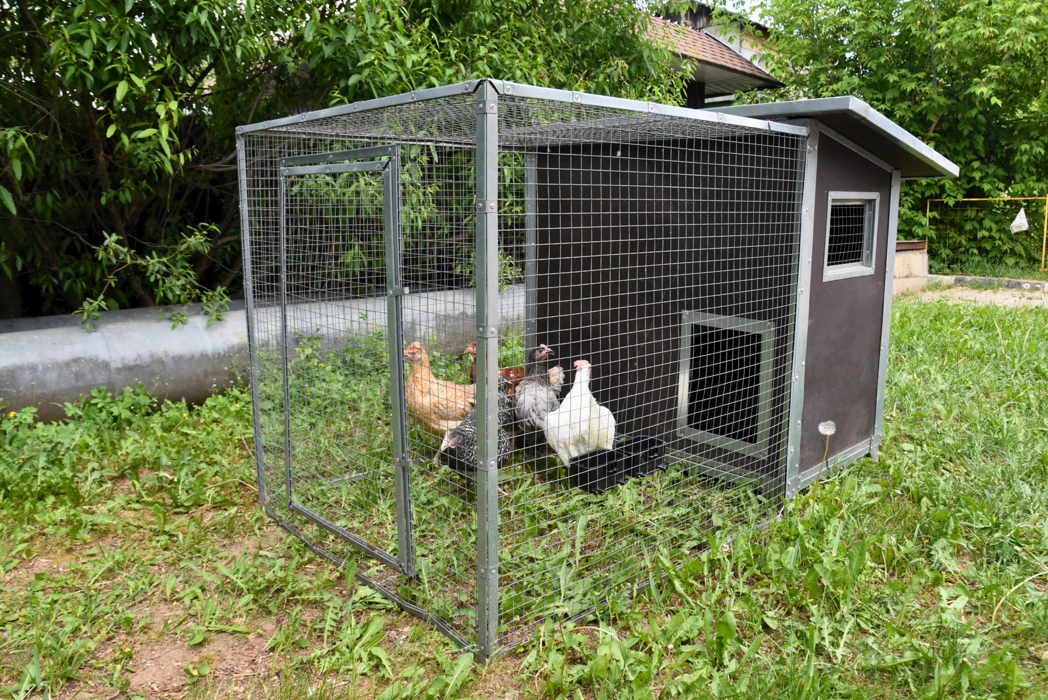 Утеплённый домик с выгулом "Лужайка-1". Фото 7