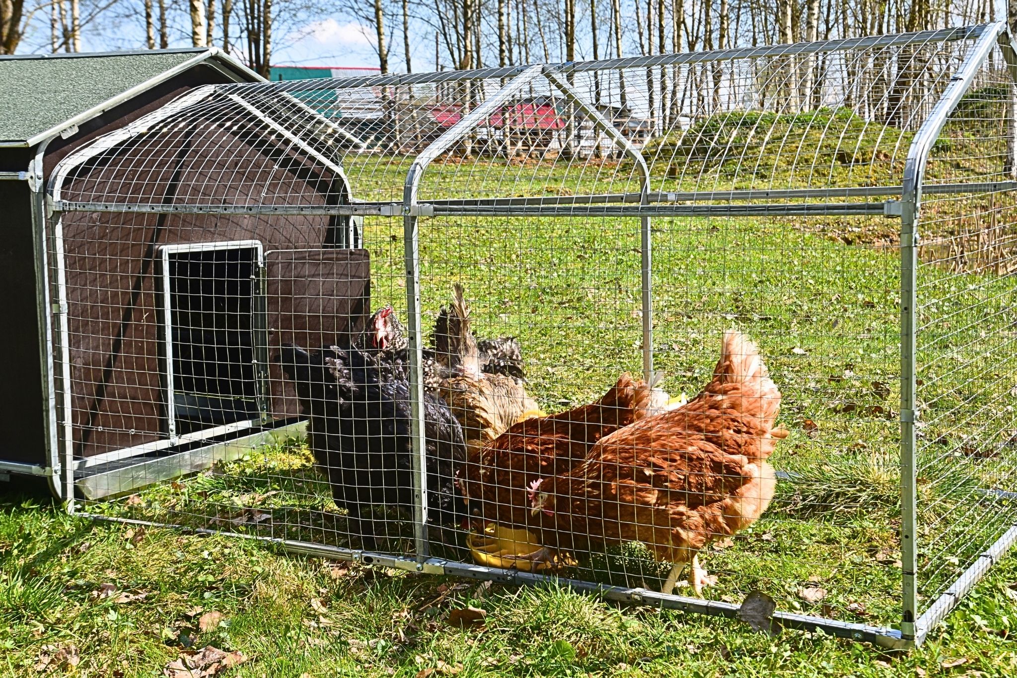 Выгул для курятника "Фаворит" на 8-10 кур. Фото 19
