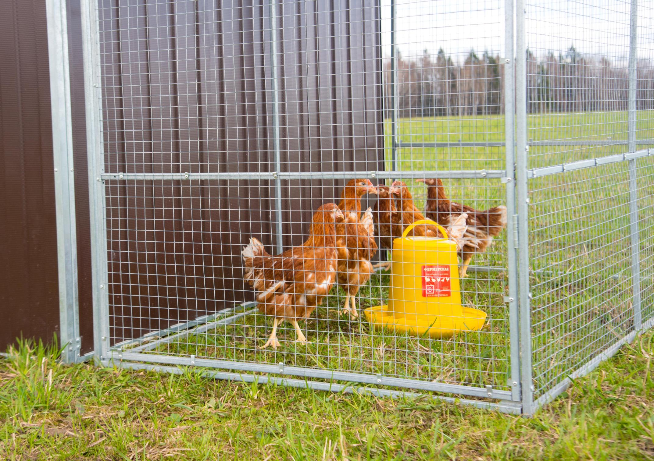 Выгул "Разгуляй" приставной из сетки 1-1-СП. Фото 9