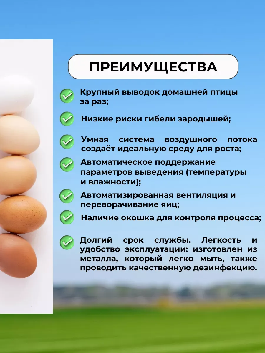 Инкубатор Гарант -176  "Стандарт". Фото 7