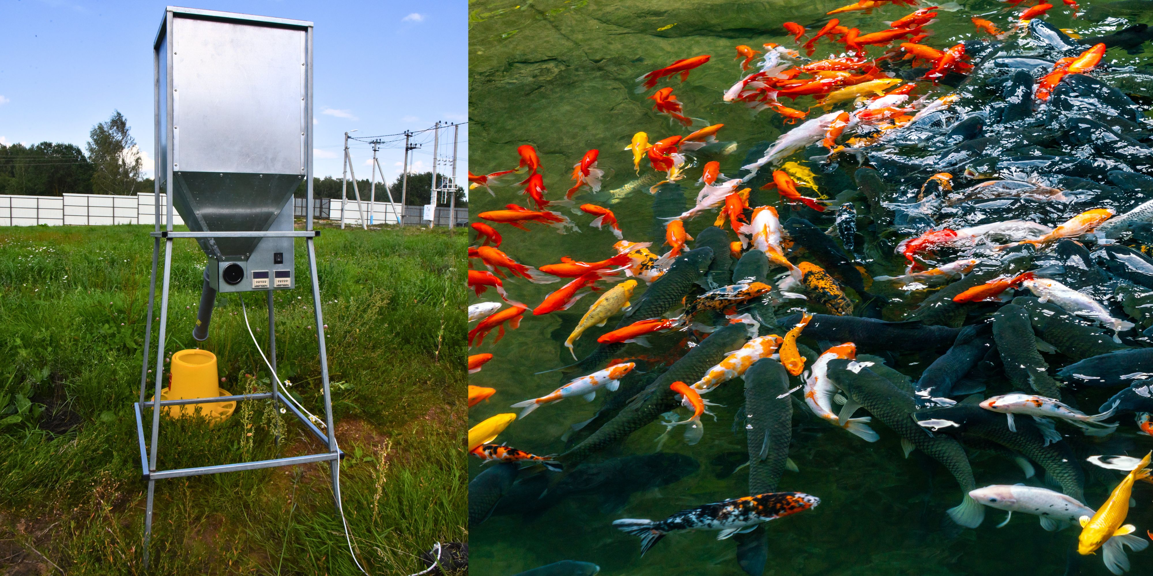 Бункер кормовой автоматический "Дозатор 135". Фото 15