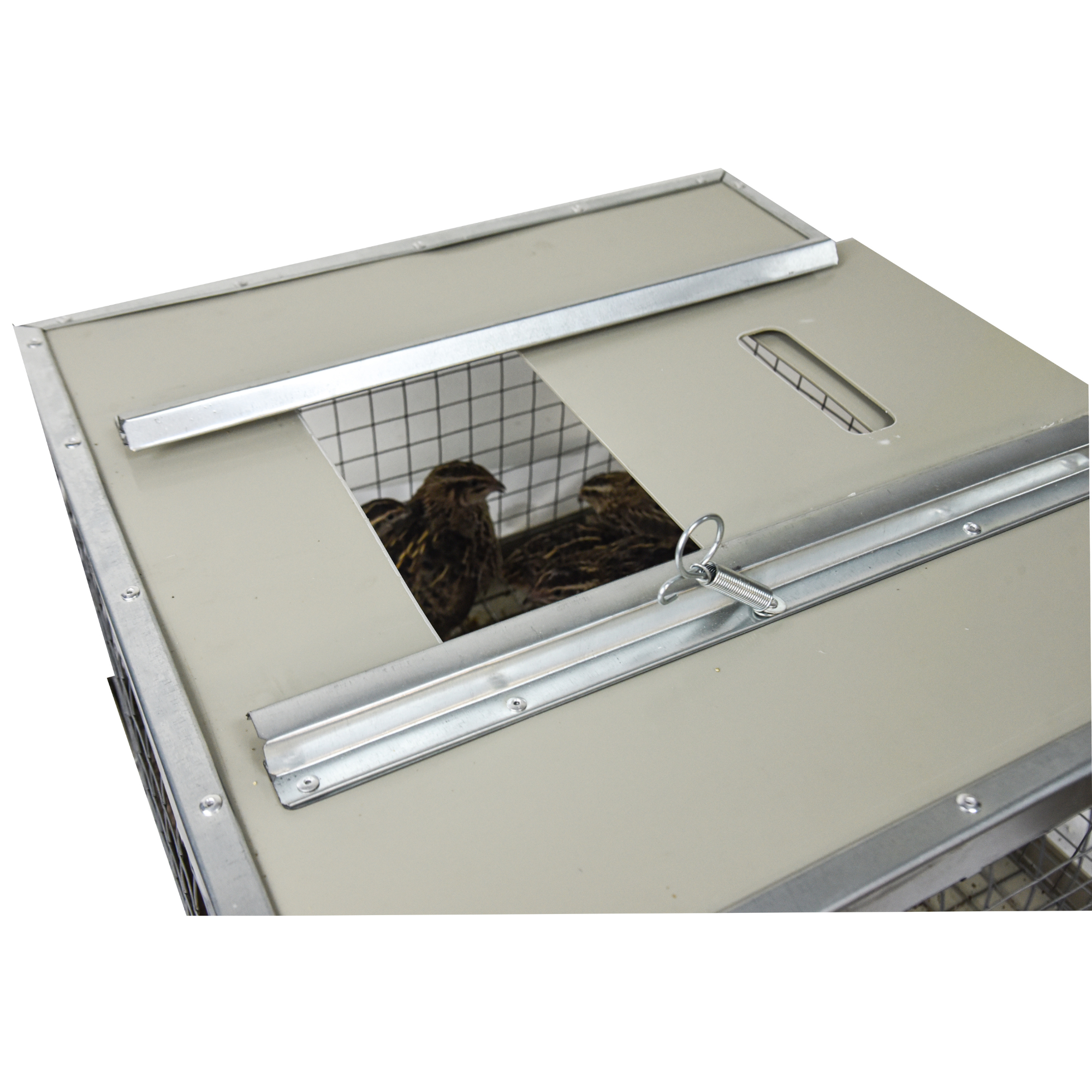 Клетка-переноска для птицы с 1 дверцей. Фото 10
