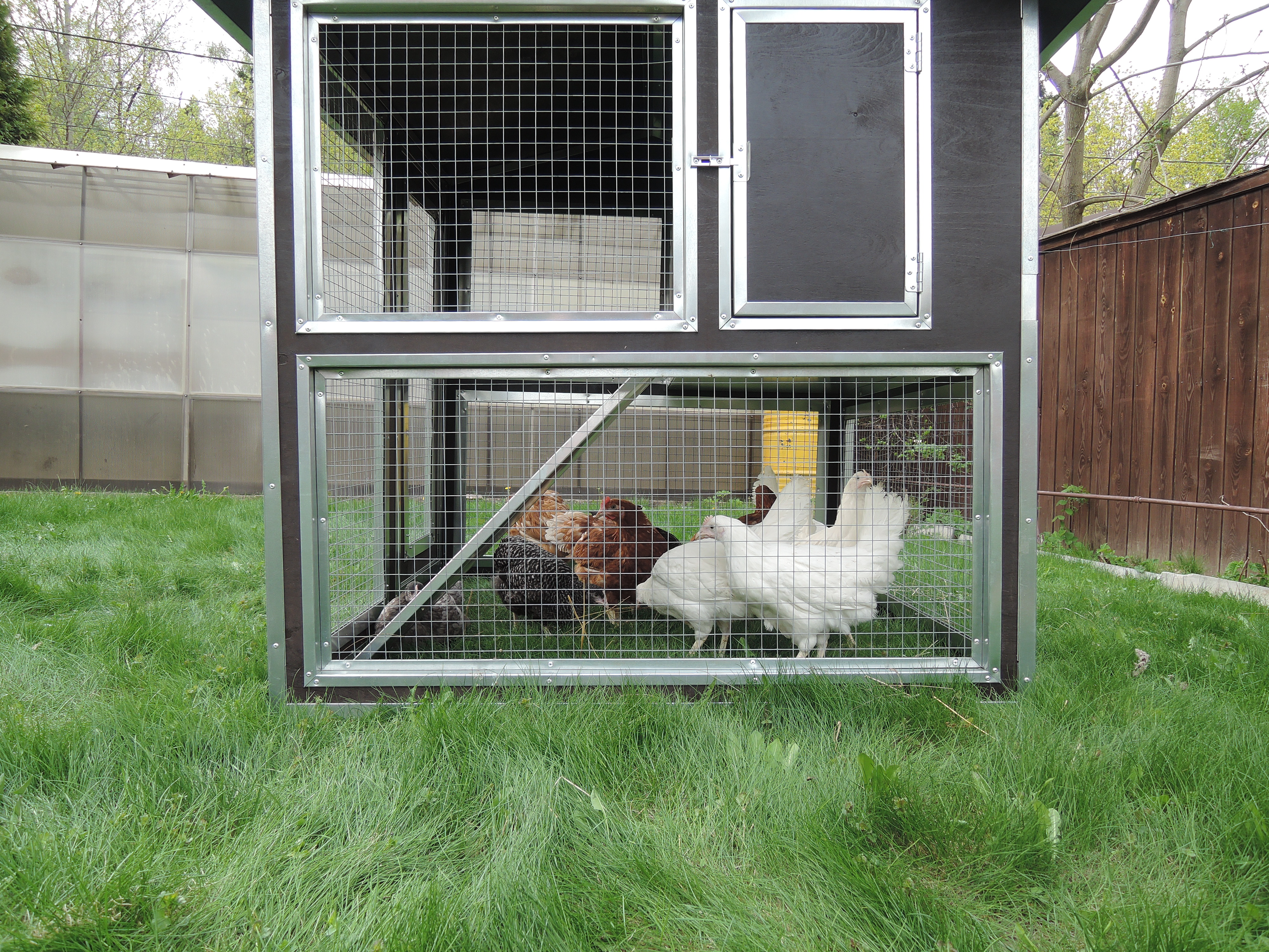 Утепленный отапливаемый уличный курятник с выгулом и гнездом "Зимняя Мечта" на 8-10 кур. Фото 13