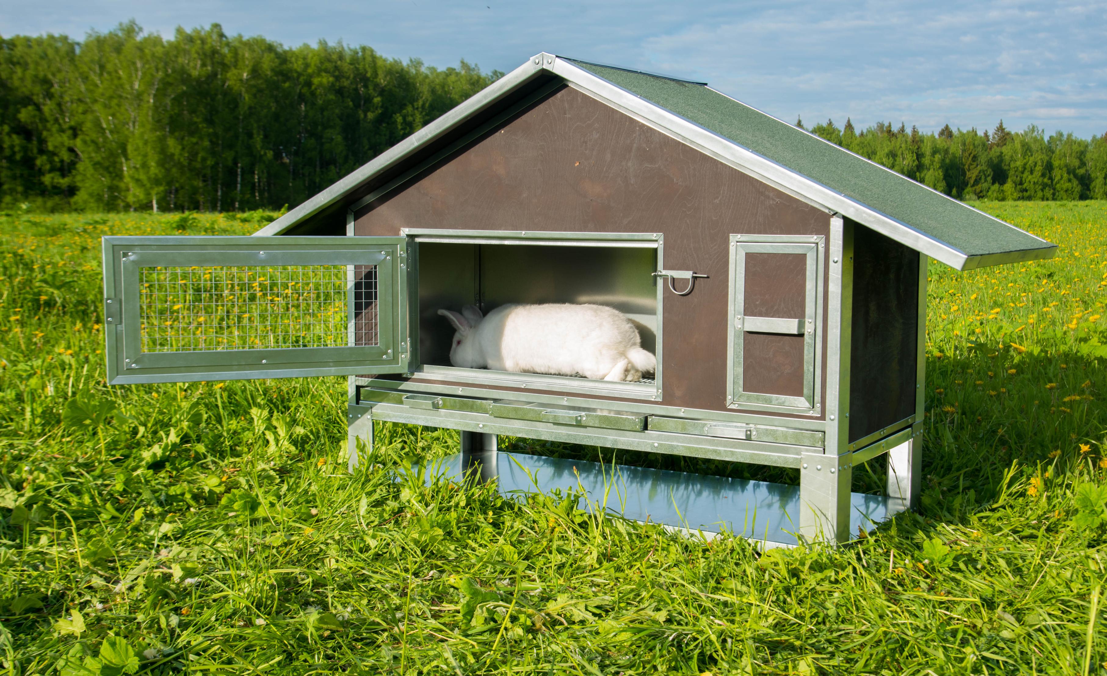 Утепленный отапливаемый крольчатник "Бестселлер" О-21. Фото 11