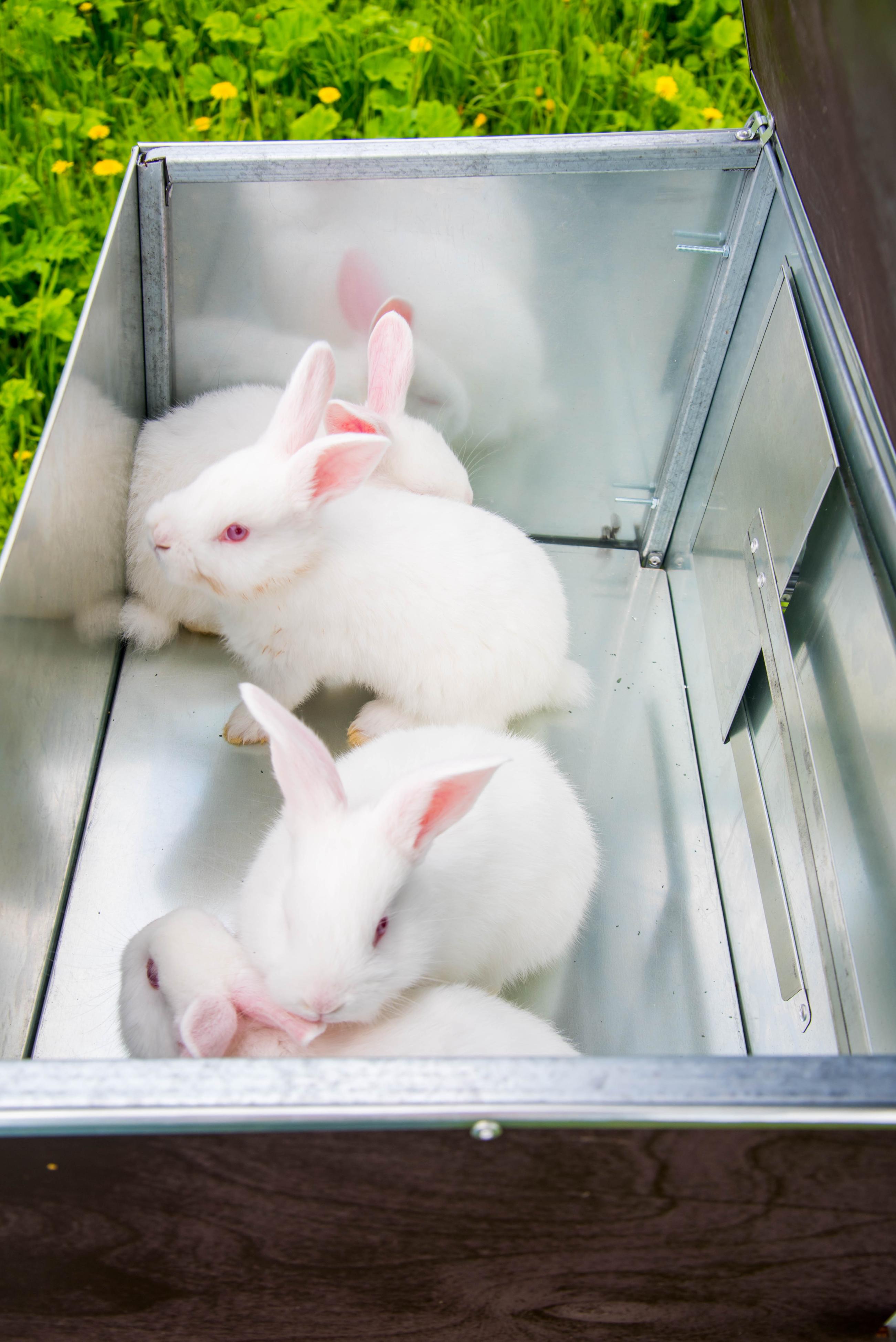 Уличный домик для кроликов "Фаворит" КР2-М-М. Фото 9