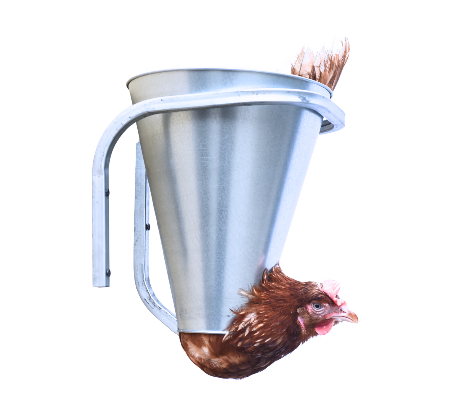 Конус для убоя "S" с кронштейном крепления-(D-75/190; H-220). Фото 5