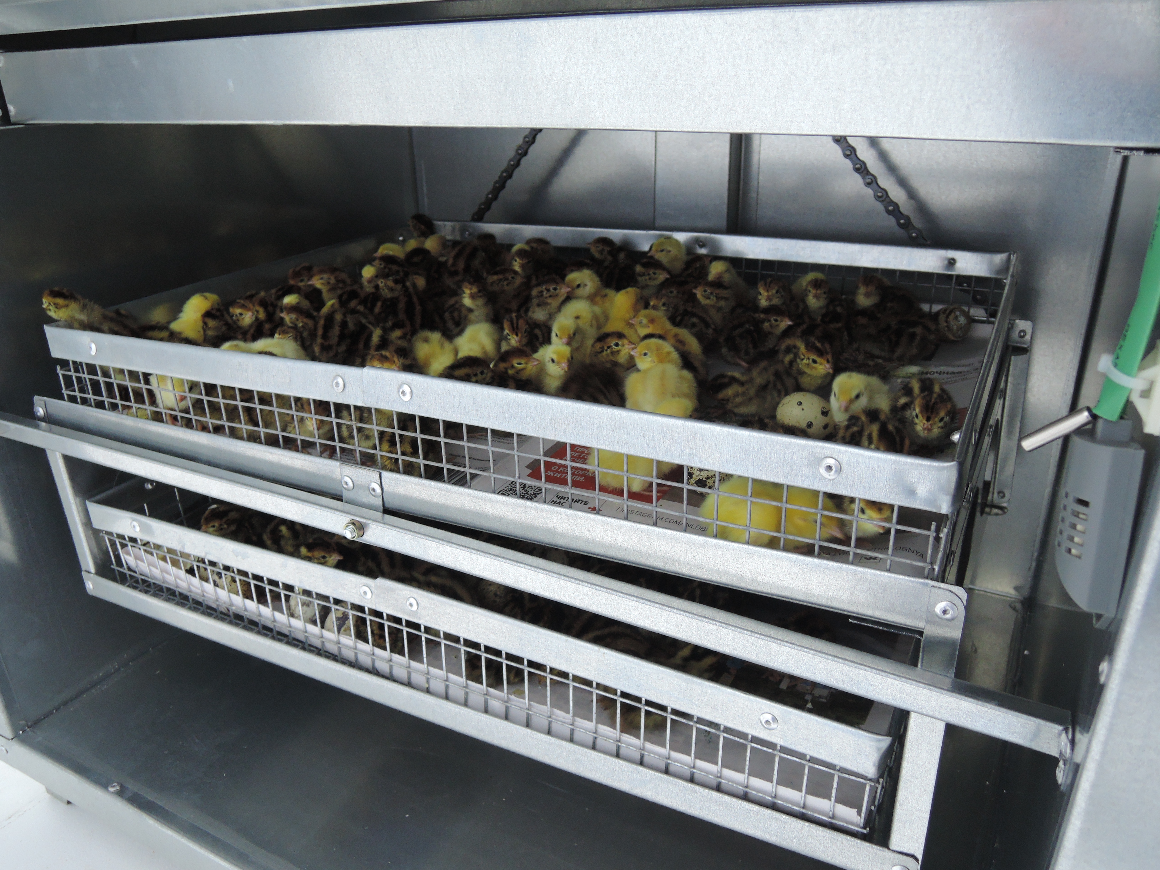 Инкубатор Гарант -176  "Стандарт". Фото 9