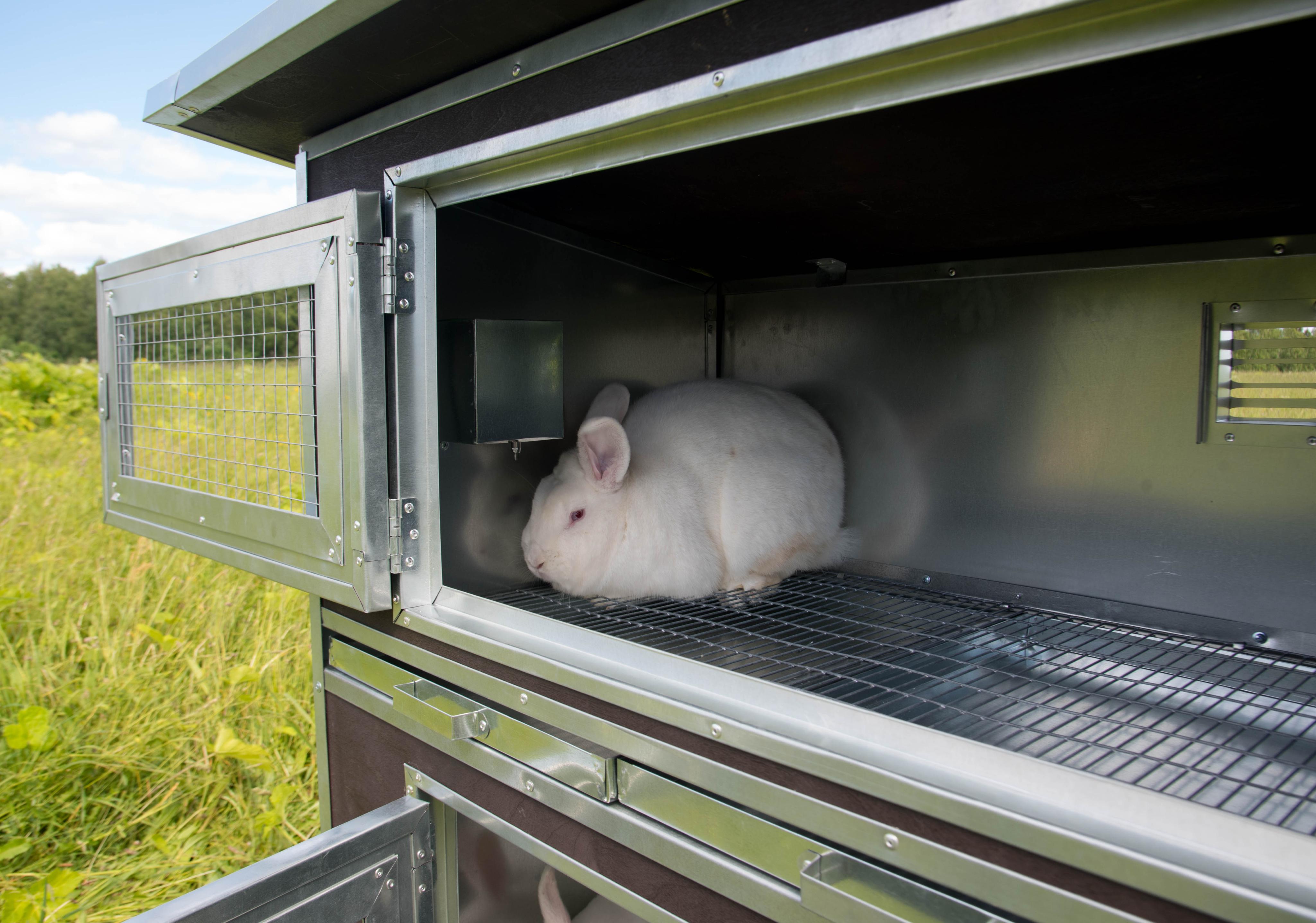 Утепленный отапливаемый крольчатник "Бестселлер" О-12. Фото 15
