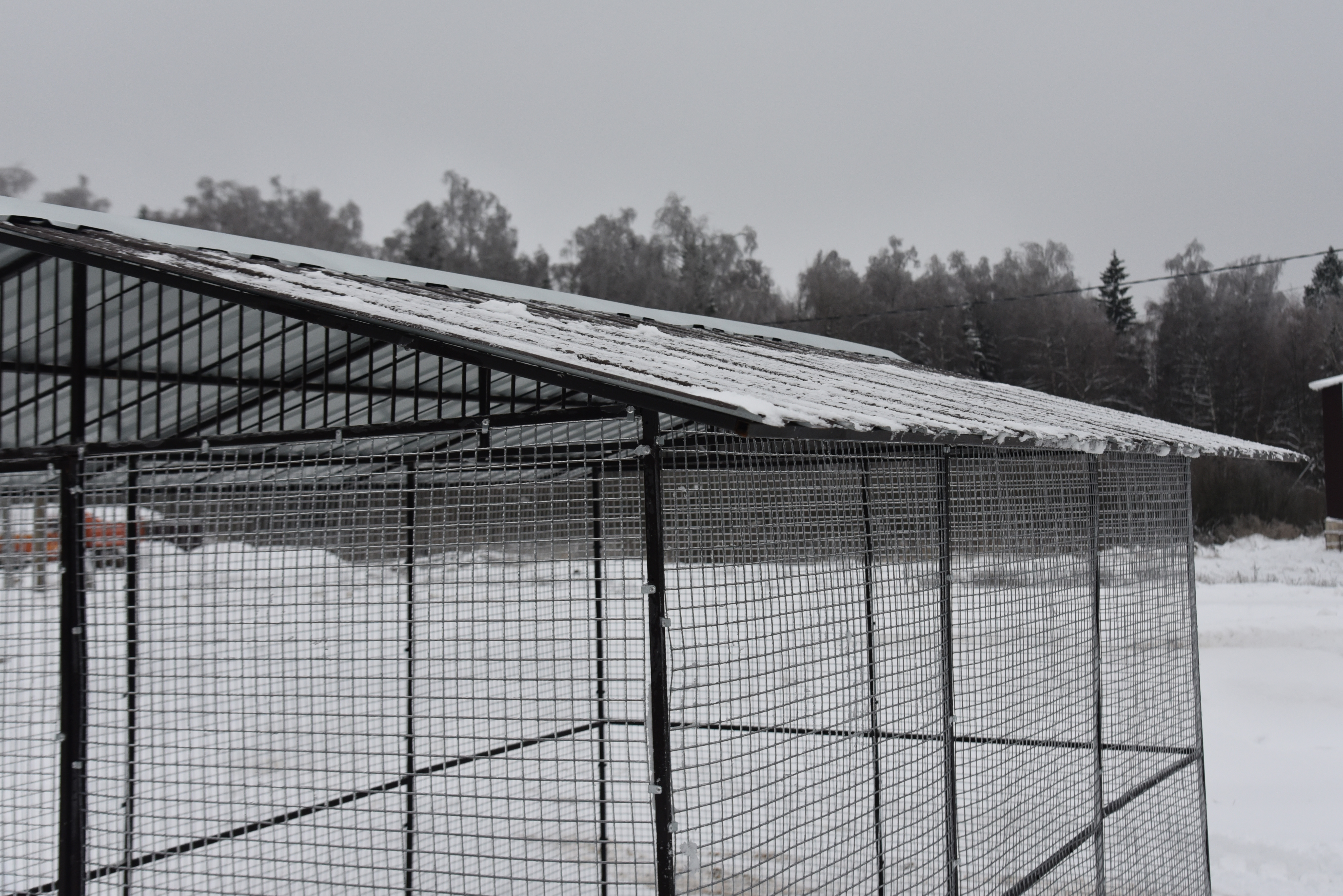 Выгул "Разгуляй" с крышей 2-2-К. Фото 12