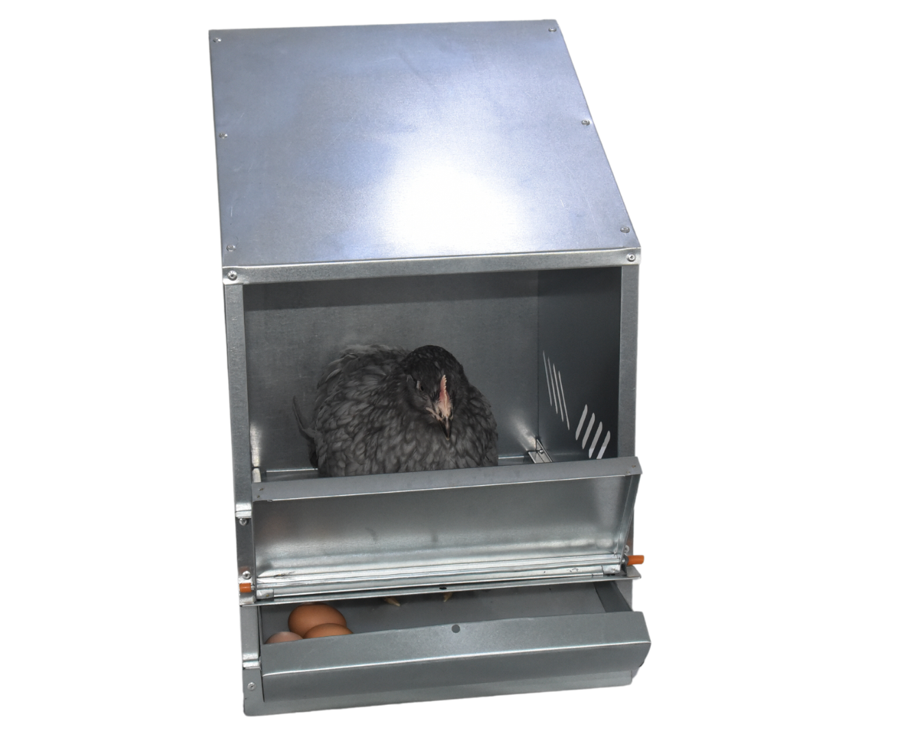 Гнездо для кур-несушек 1-2. Фото 3