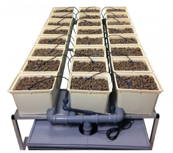 Голландский горшок. Фото 1