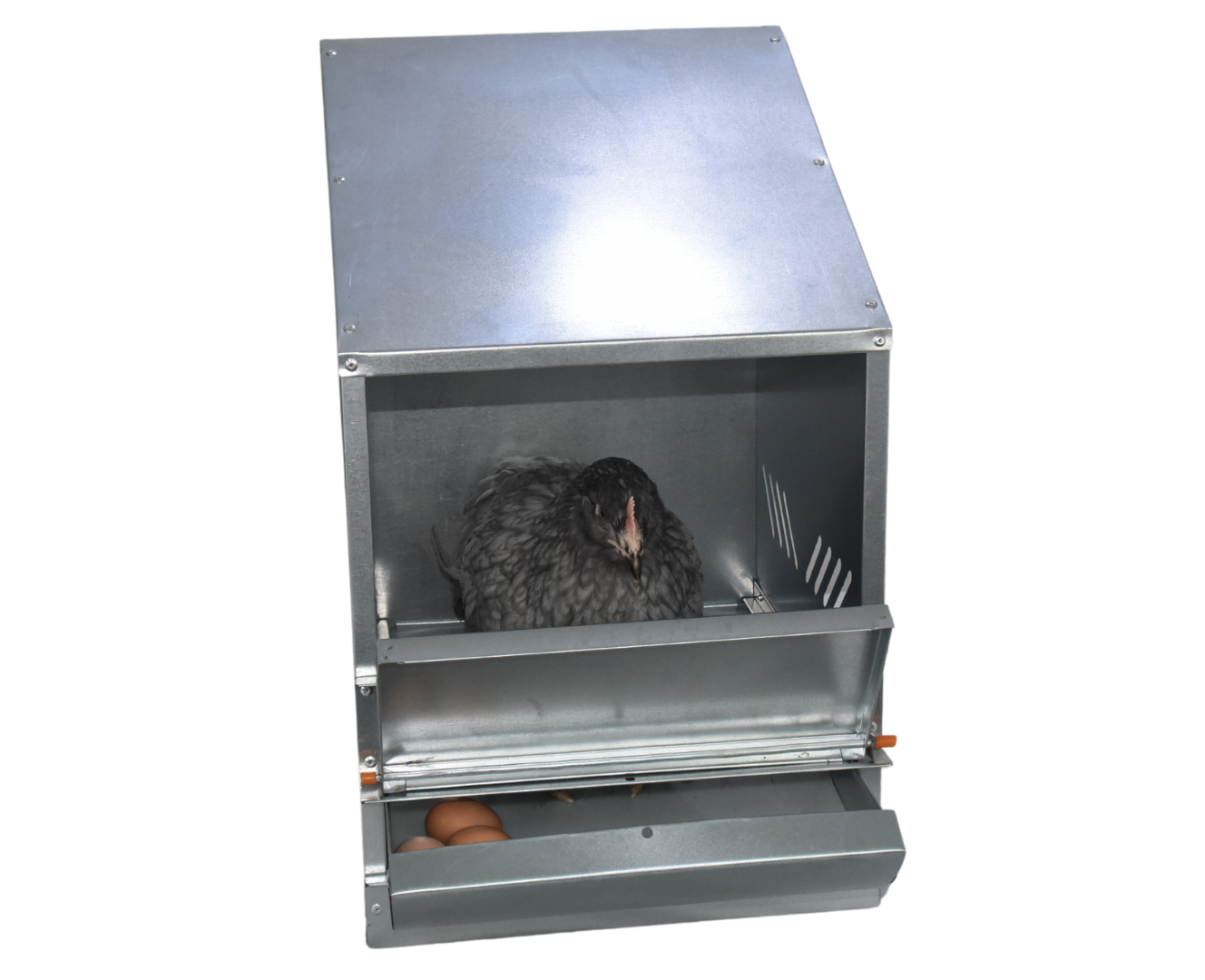 Гнездо для кур-несушек 5-1. Фото 3