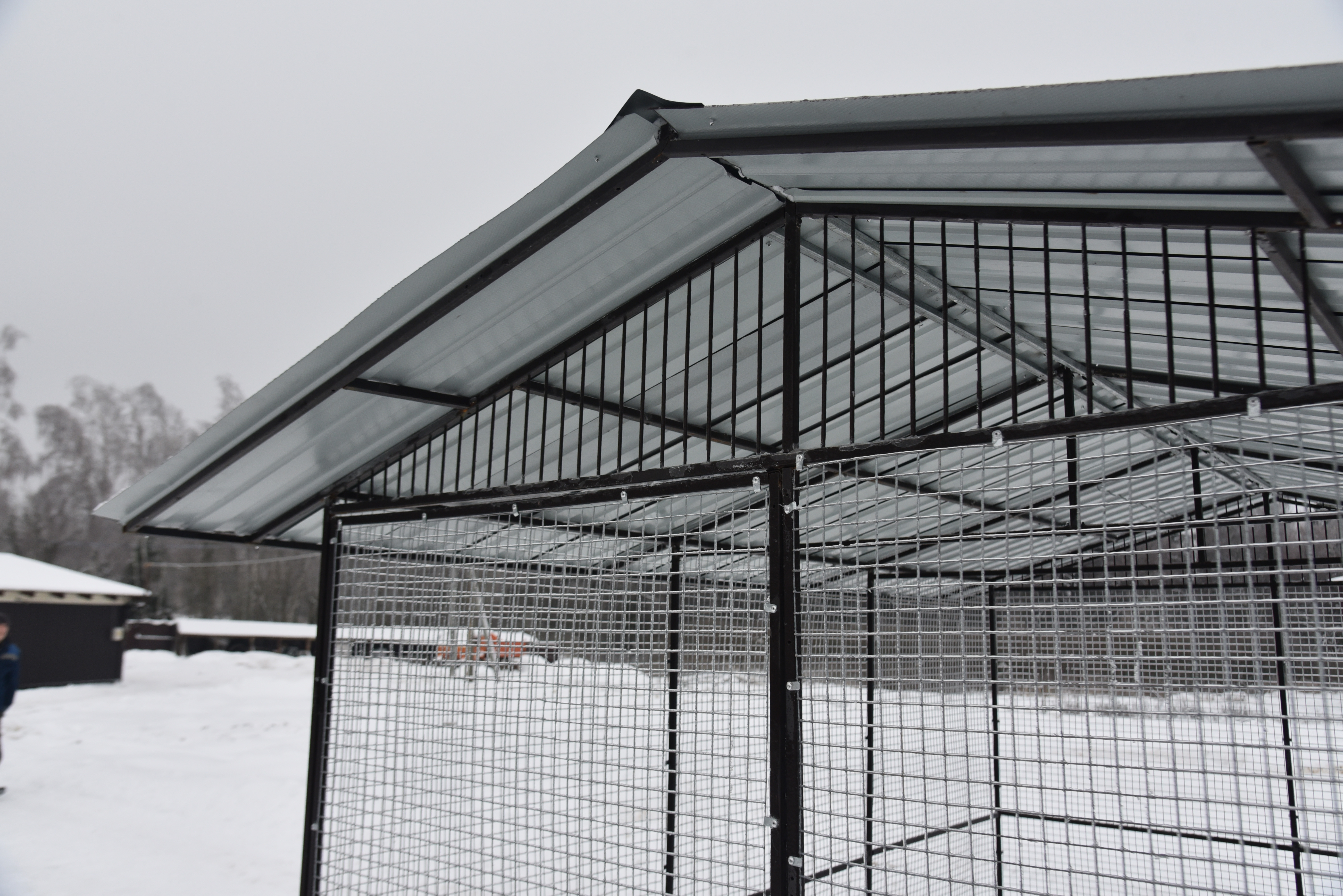 Выгул "Разгуляй" с крышей 2-4-К. Фото 15