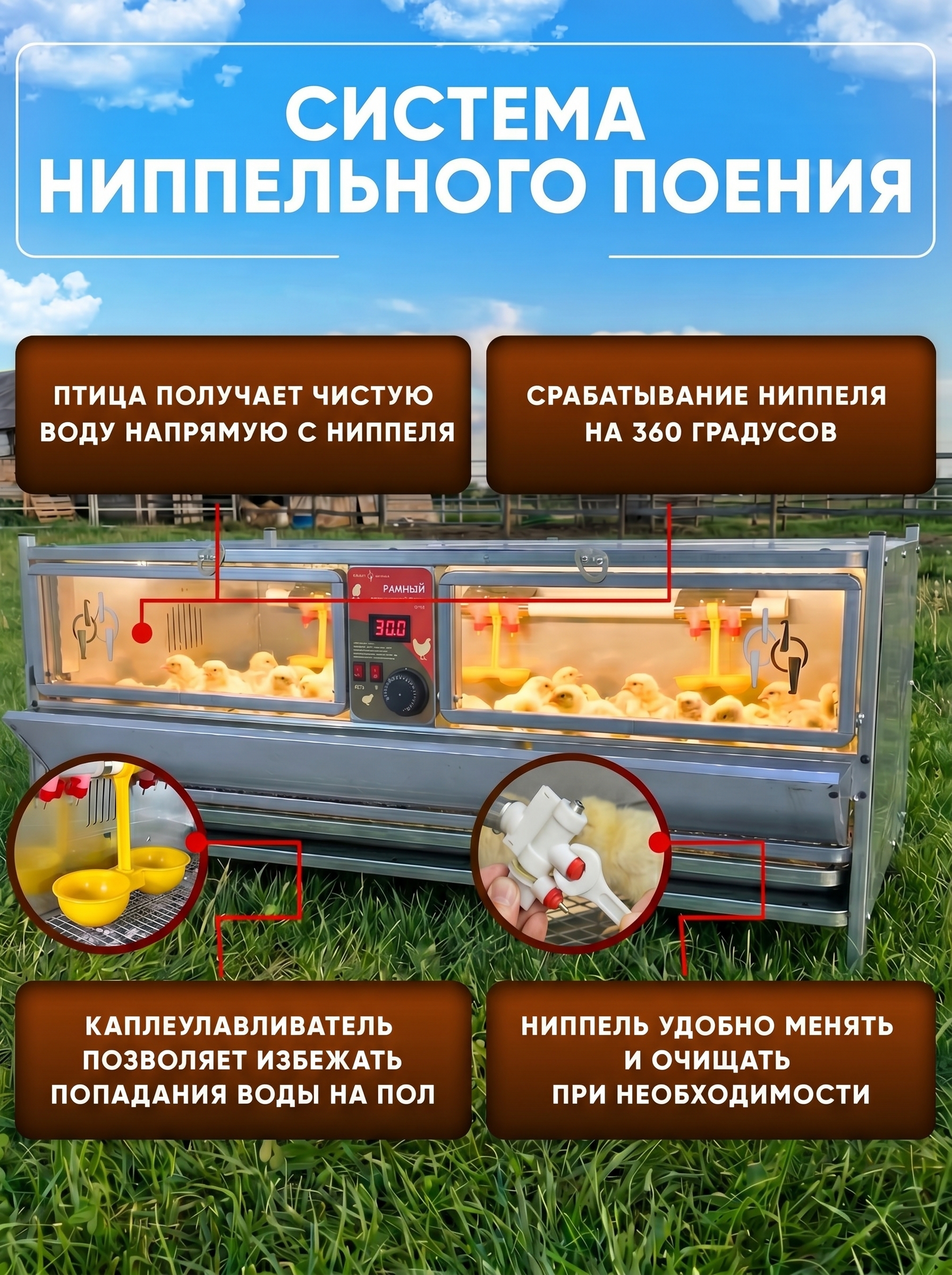 Рамный автоматический брудер 0708 Премиум. Фото 6 Рамный автоматический брудер 0708 Премиум. Фото 6