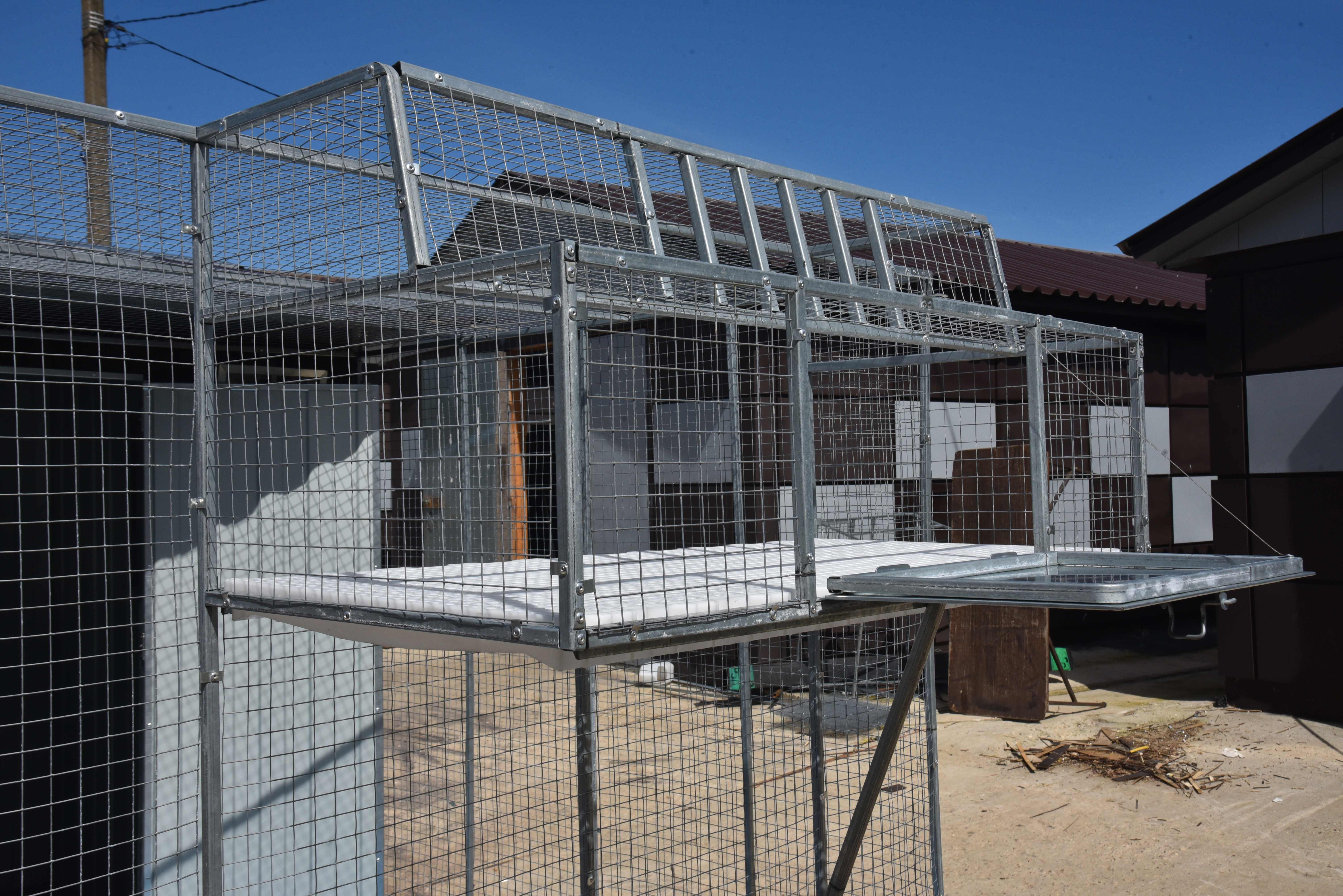 Голубятня "Любовь". Фото 16