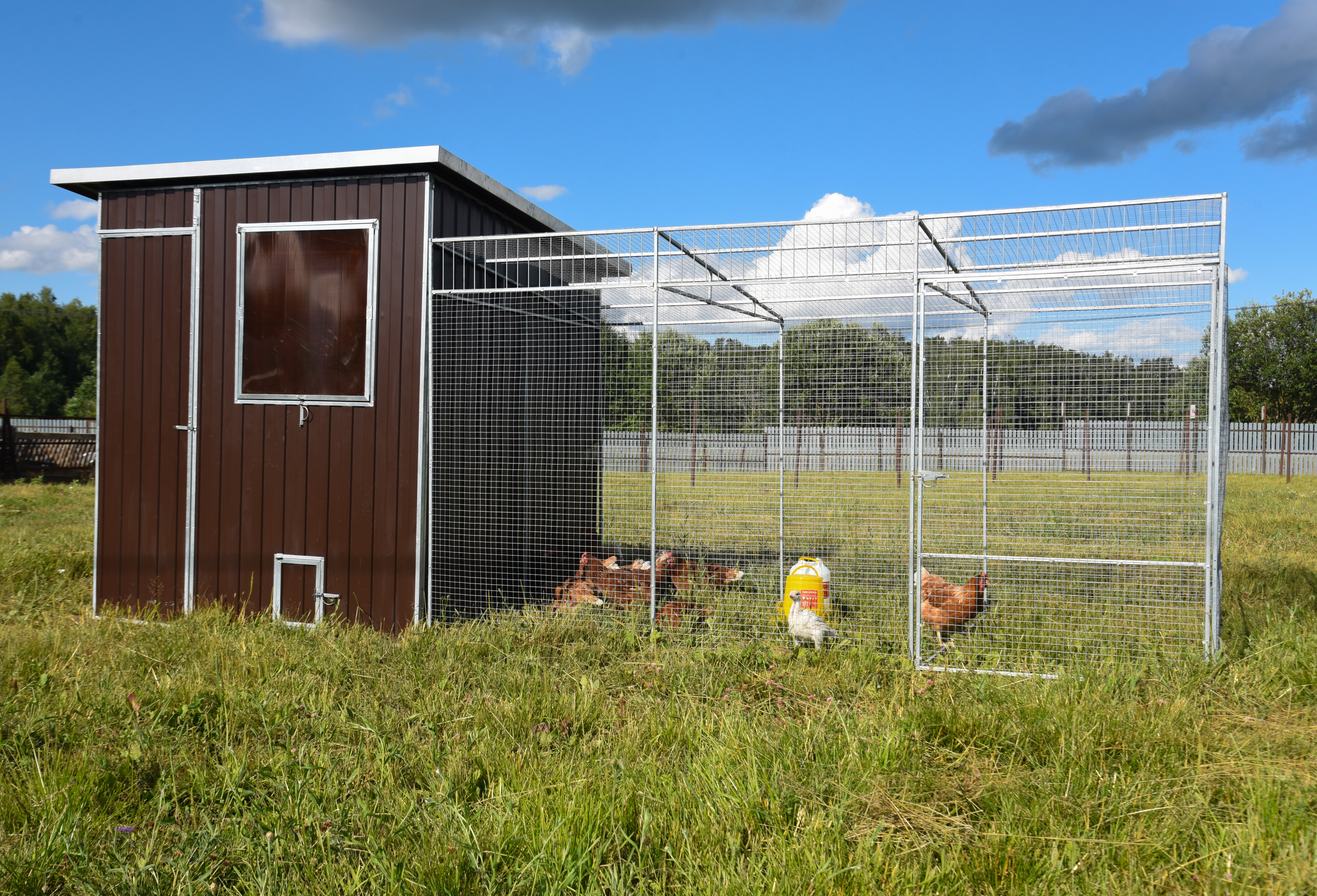 Выгул "Разгуляй" приставной из сетки 1-2-СП. Фото 1