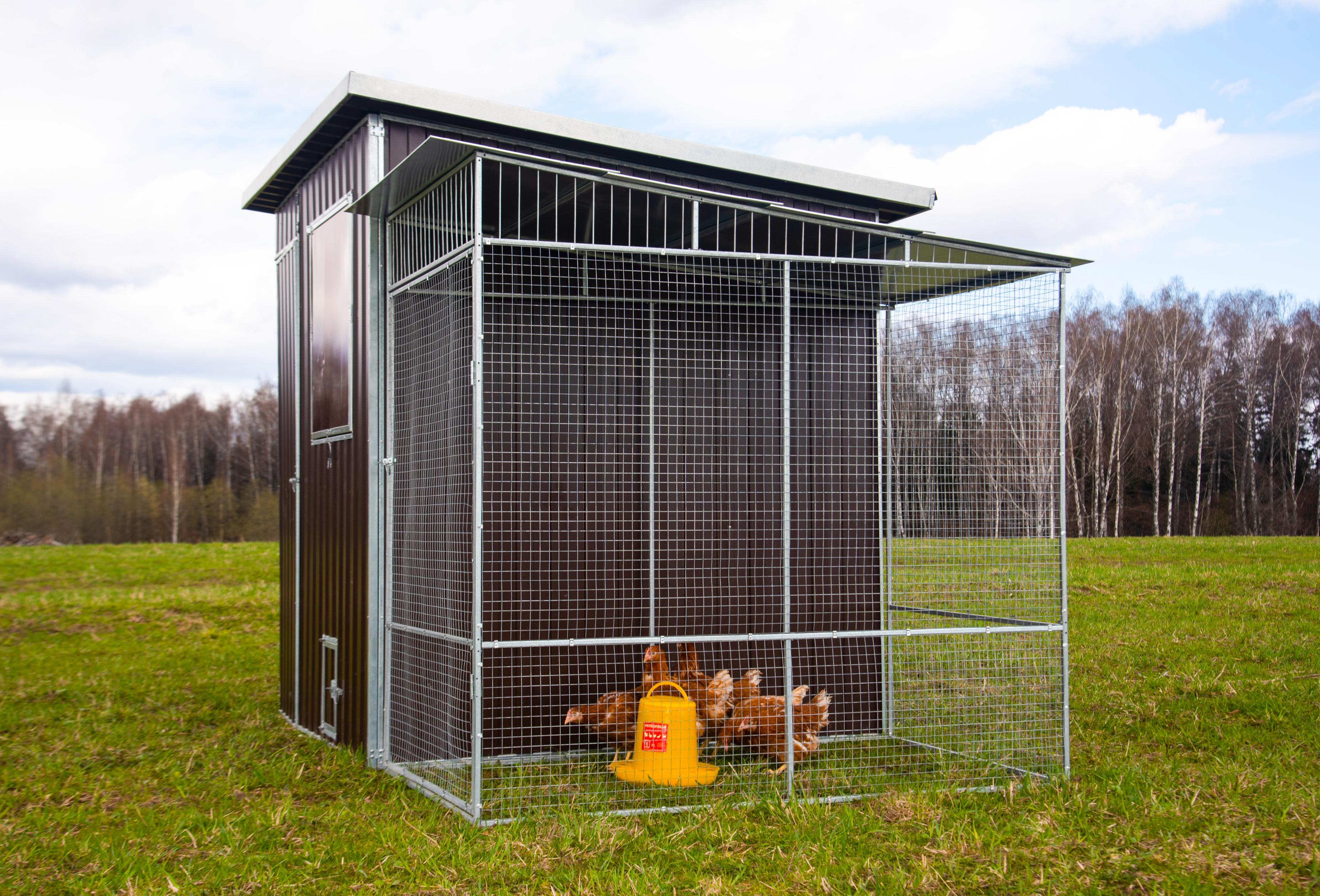 Выгул "Разгуляй" с крышей 1-2-К. Фото 2