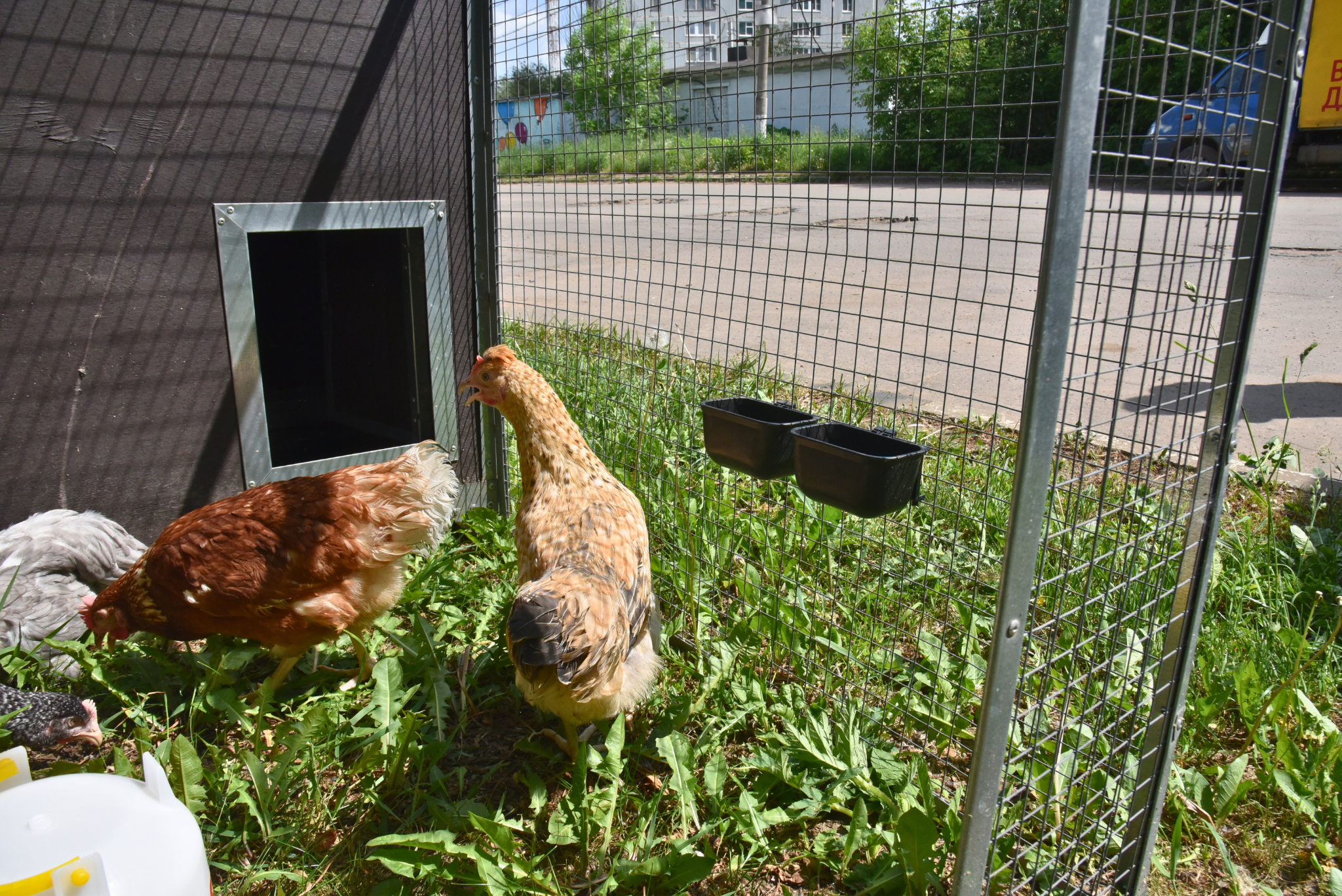 Утеплённый домик с выгулом "Лужайка-1". Фото 30