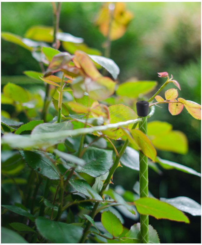 Опора для растений круглая 1,2 м. Фото 3