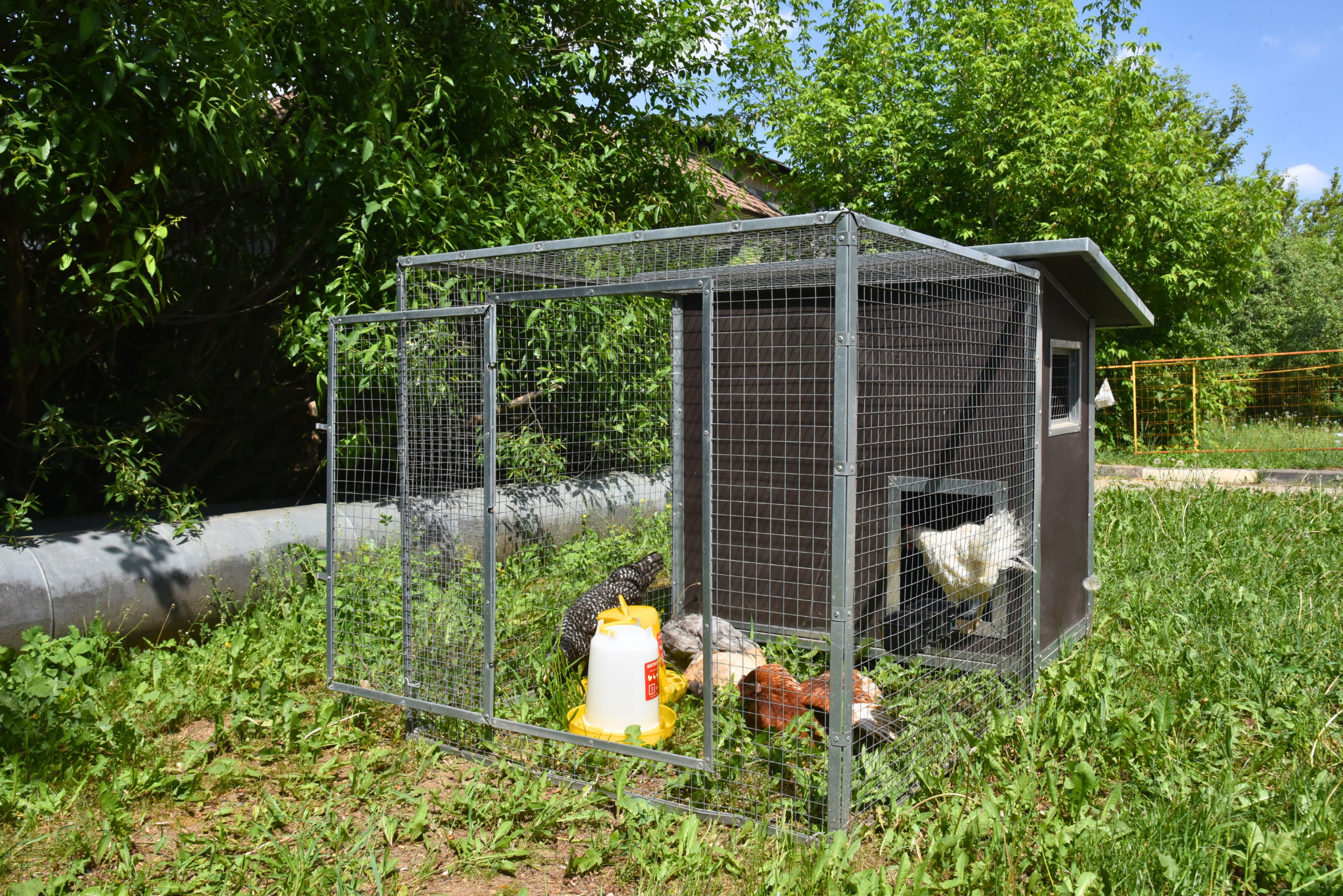 Утеплённый домик с выгулом "Лужайка-1". Фото 28