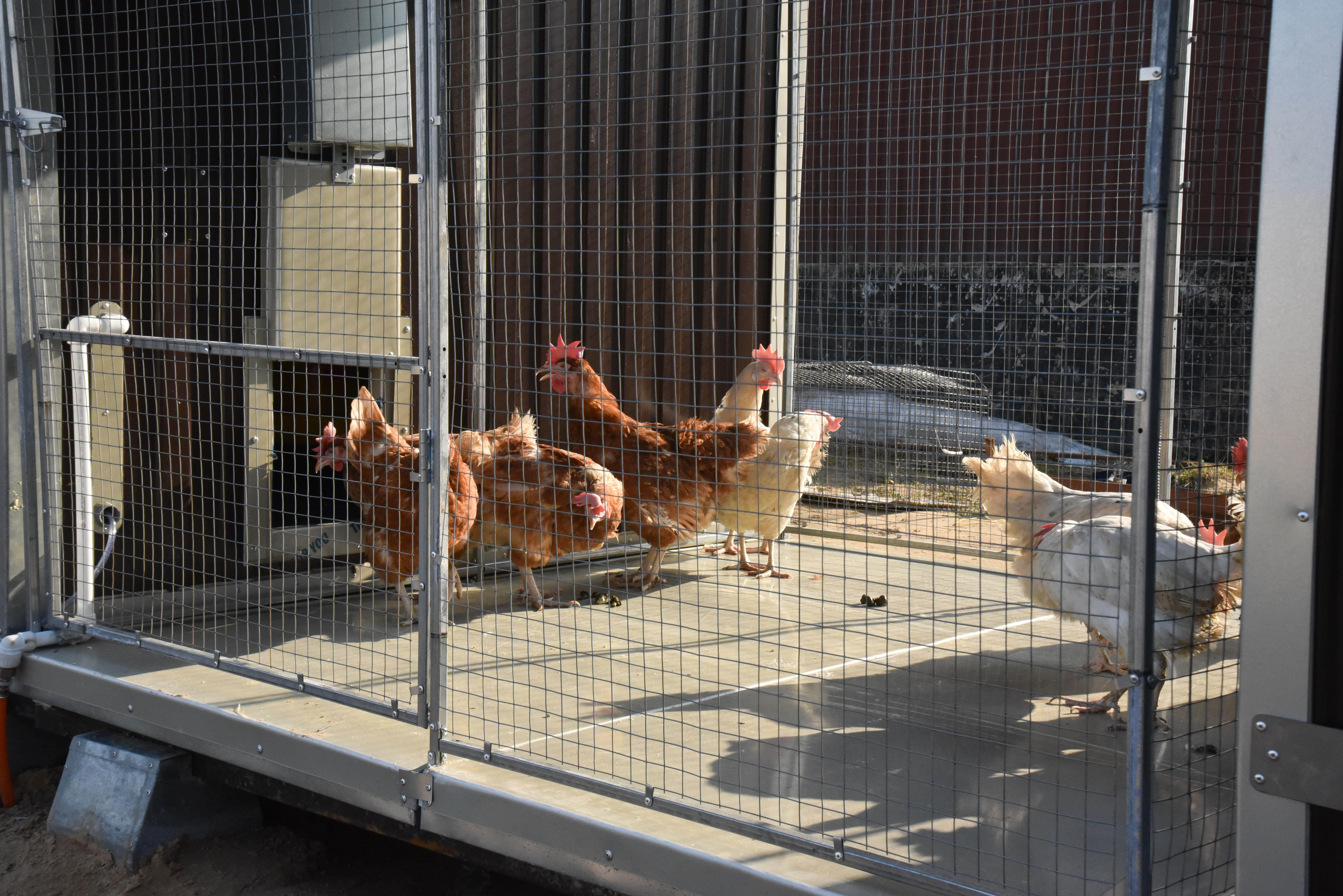 Панель пола утепленная с защитой от грызунов 90/180. Фото 5