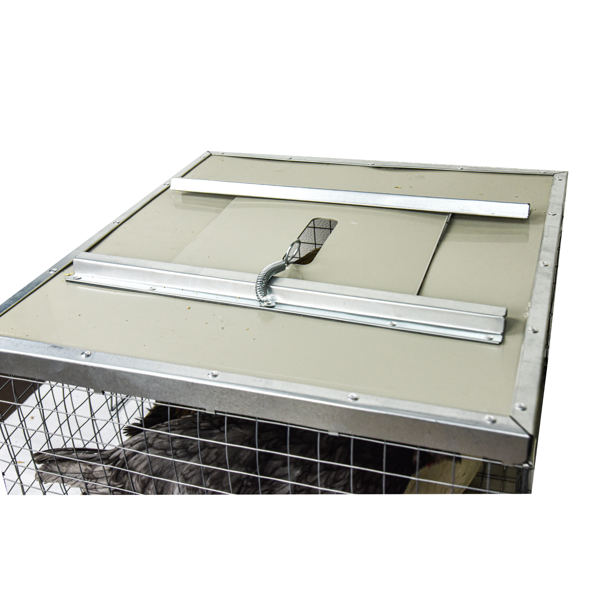 Клетка-переноска для птицы с 1 дверцей. Фото 13