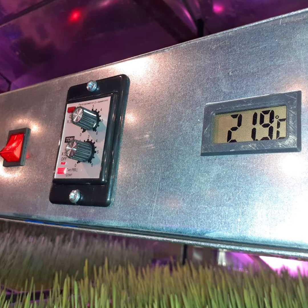 Гидропонная установка для зелёного корма. Фото 2