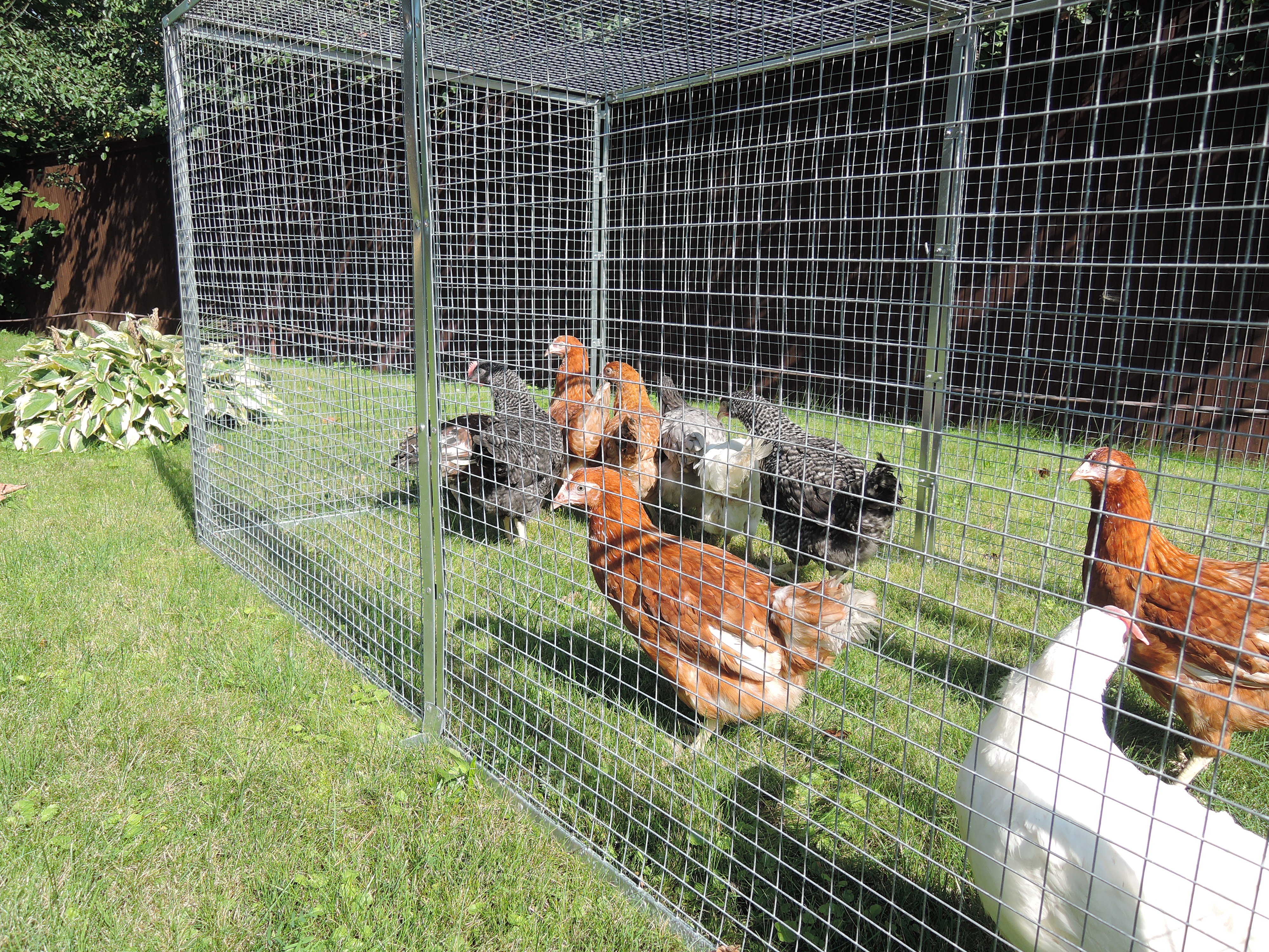 Выгул "Лужайка"-3. Фото 7