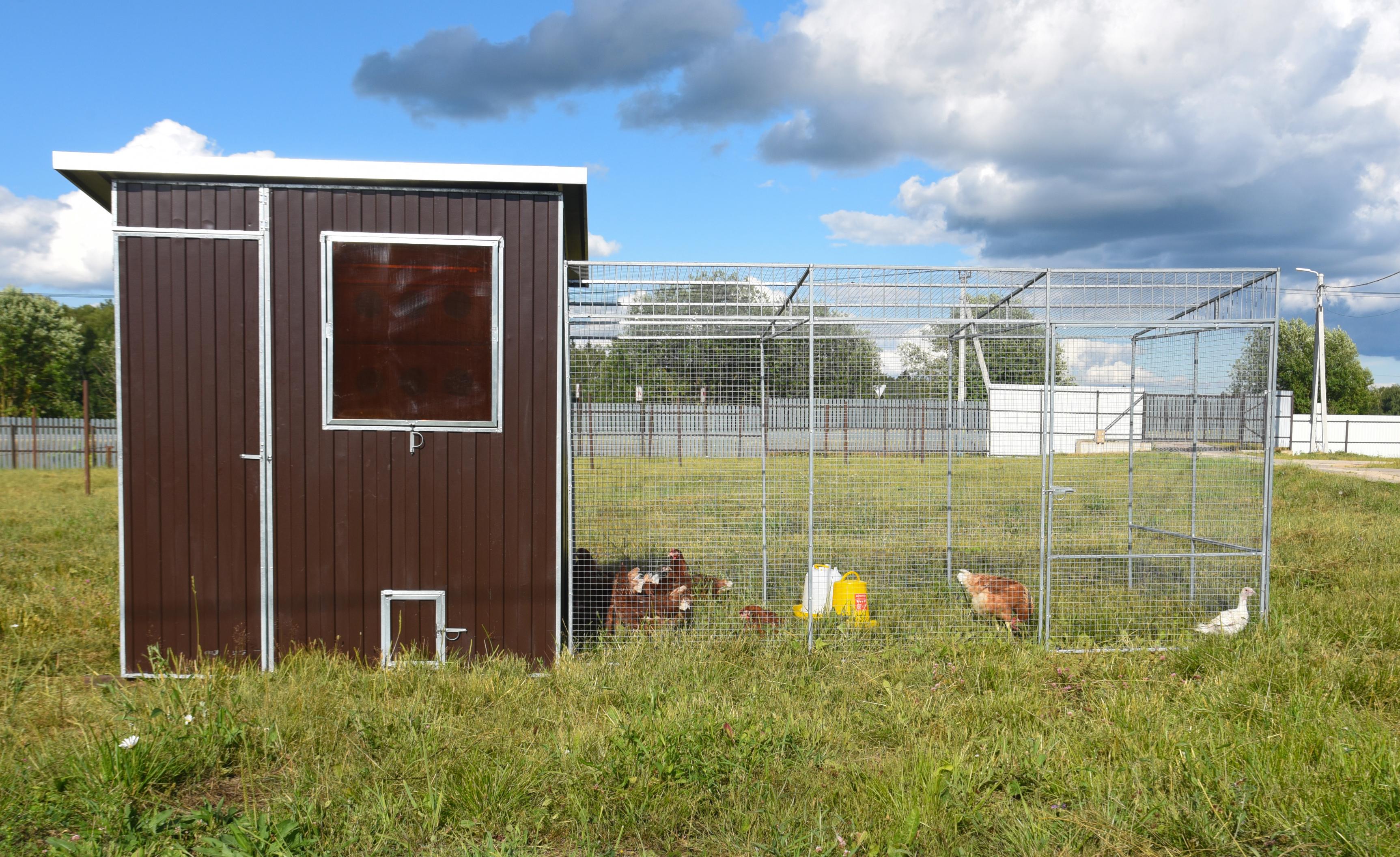 Выгул "Разгуляй" приставной из сетки 1-1-СП. Фото 11