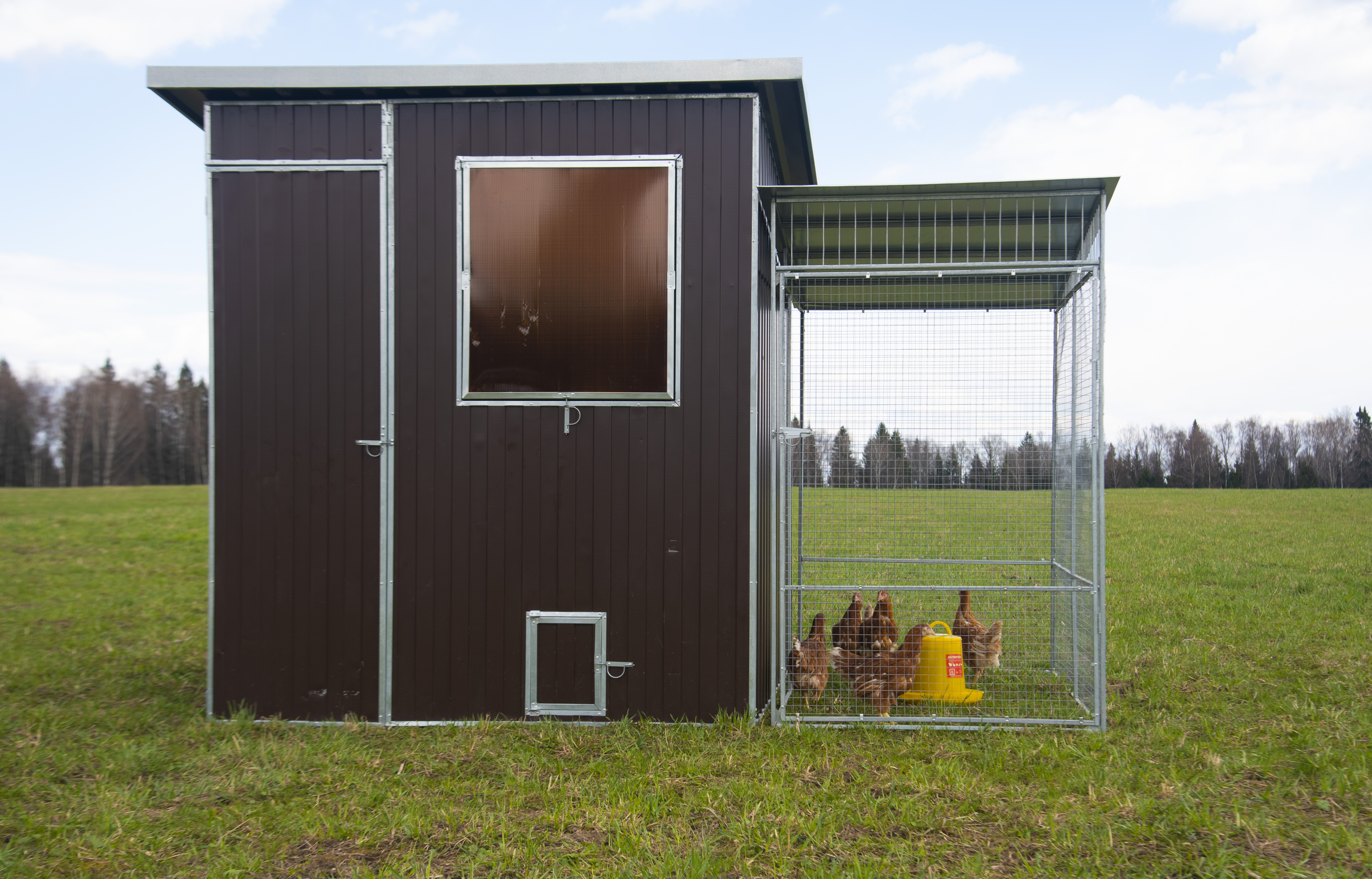 Выгул "Разгуляй" с крышей 1-1-К. Фото 4