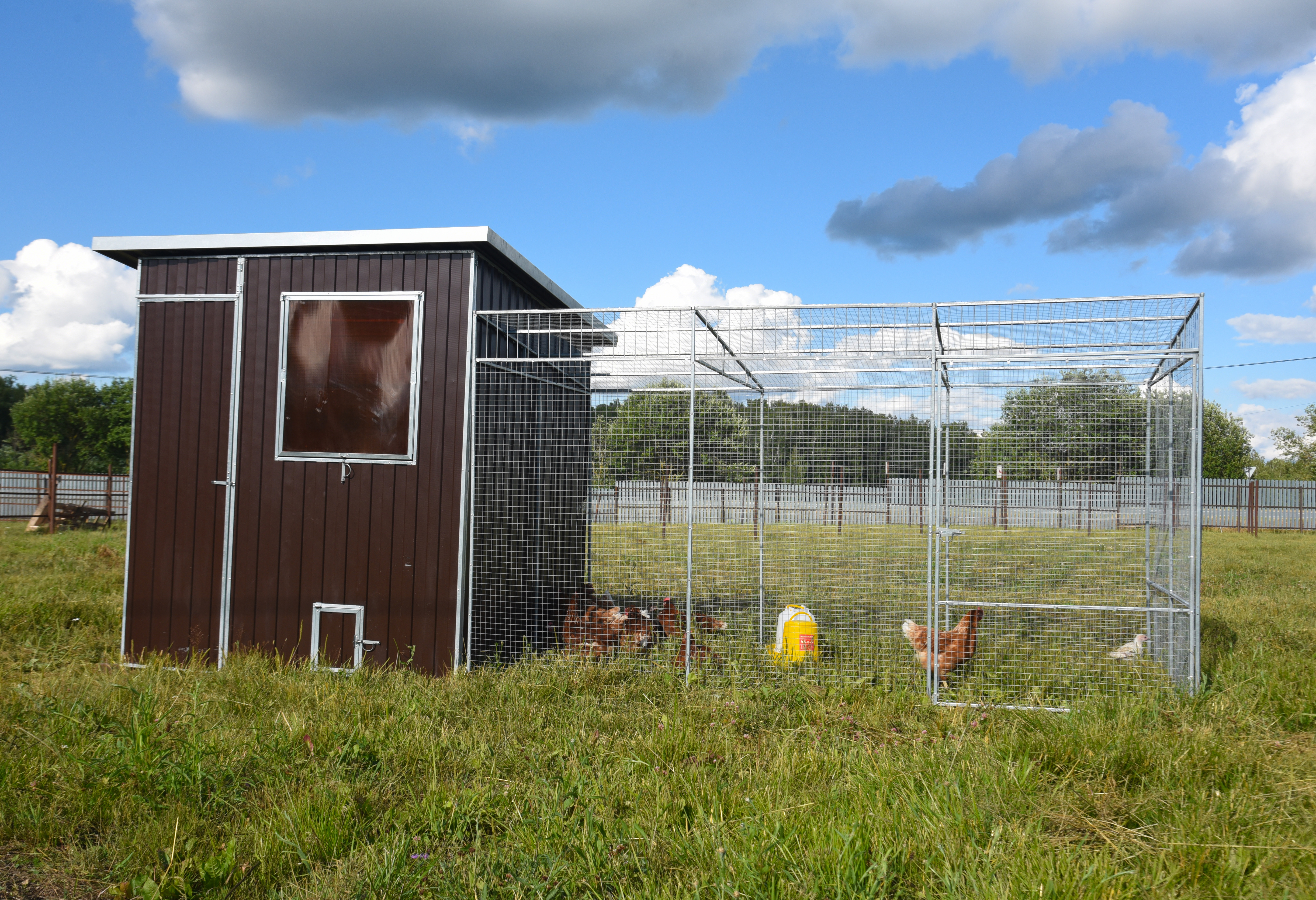 Выгул "Разгуляй" приставной из сетки 1-2-СП. Фото 3