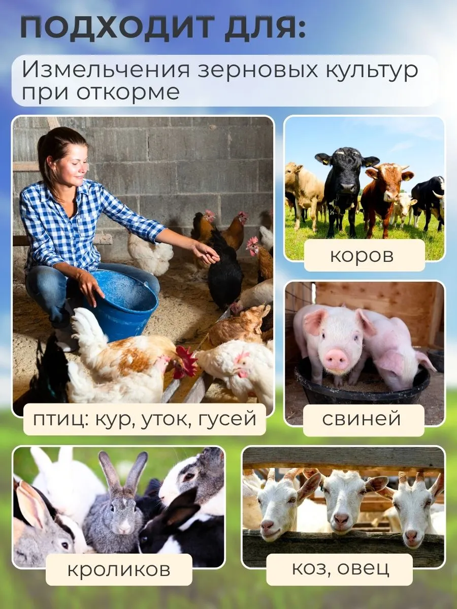 Зернодробилка электрическая на 25 литров. Фото 2