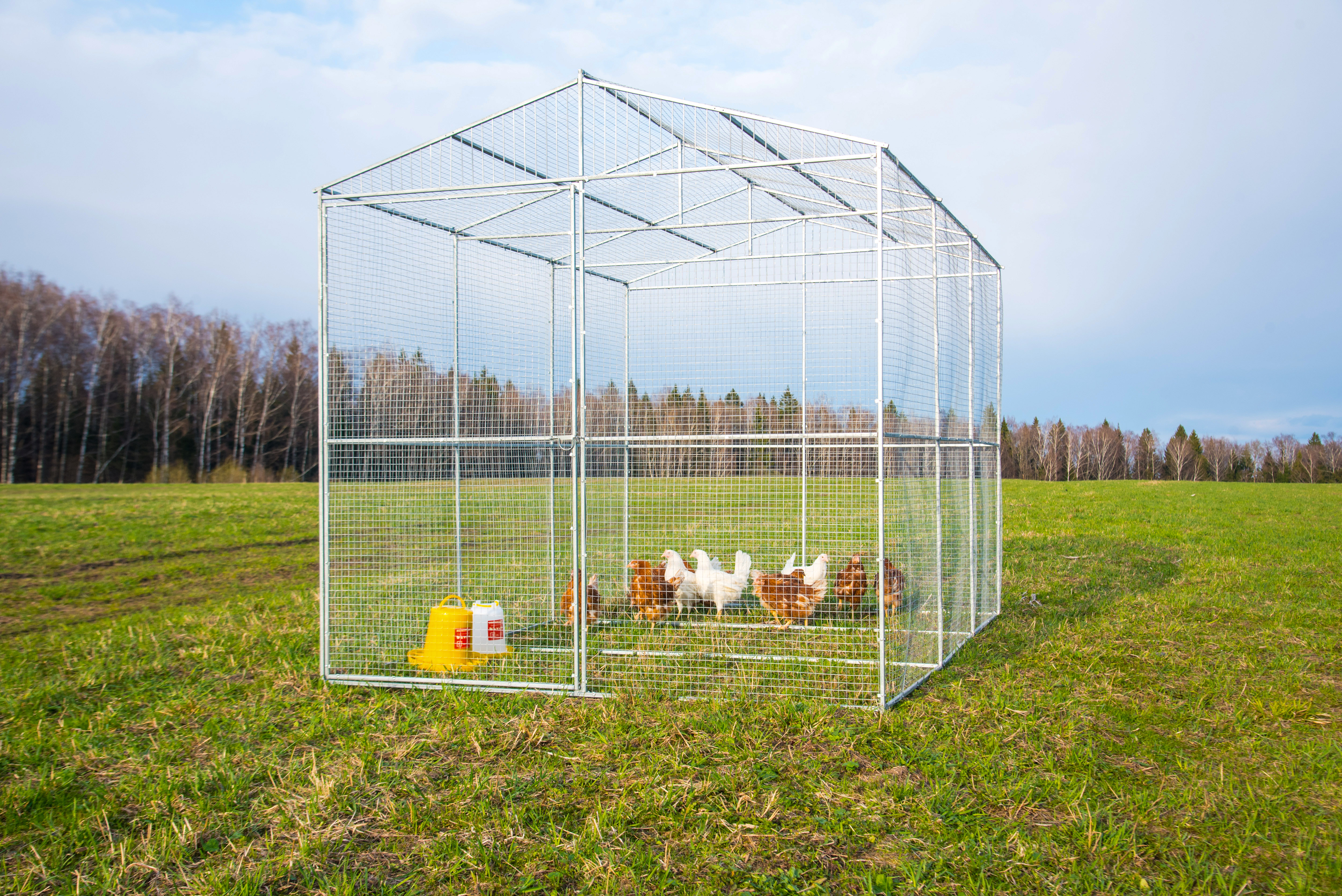 Выгул "Разгуляй" из сетки 2-5-С. Фото 1