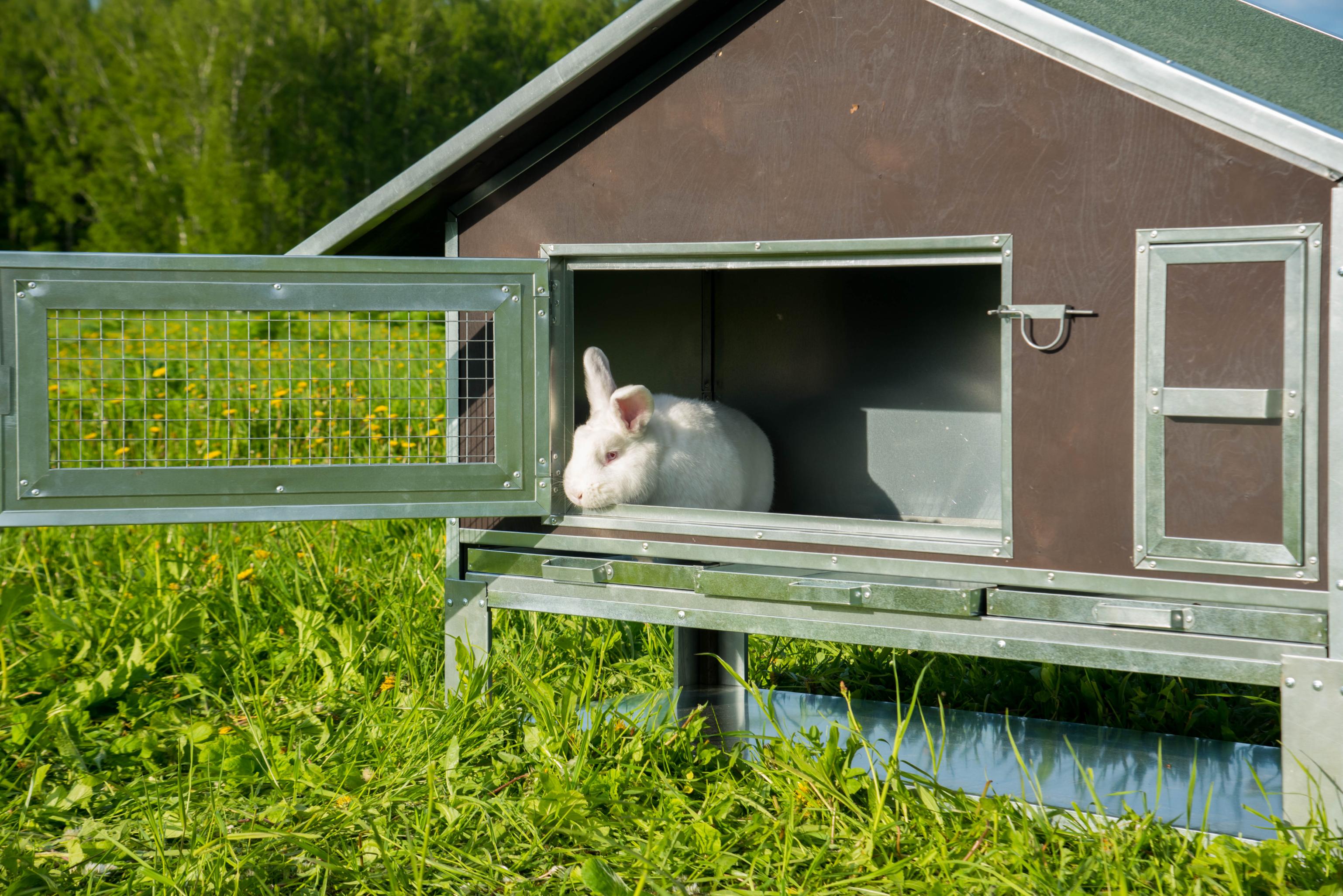 Утепленный отапливаемый крольчатник "Бестселлер" О-21. Фото 12