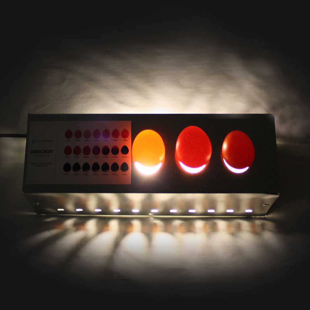 Овоскоп 3. Фото 2