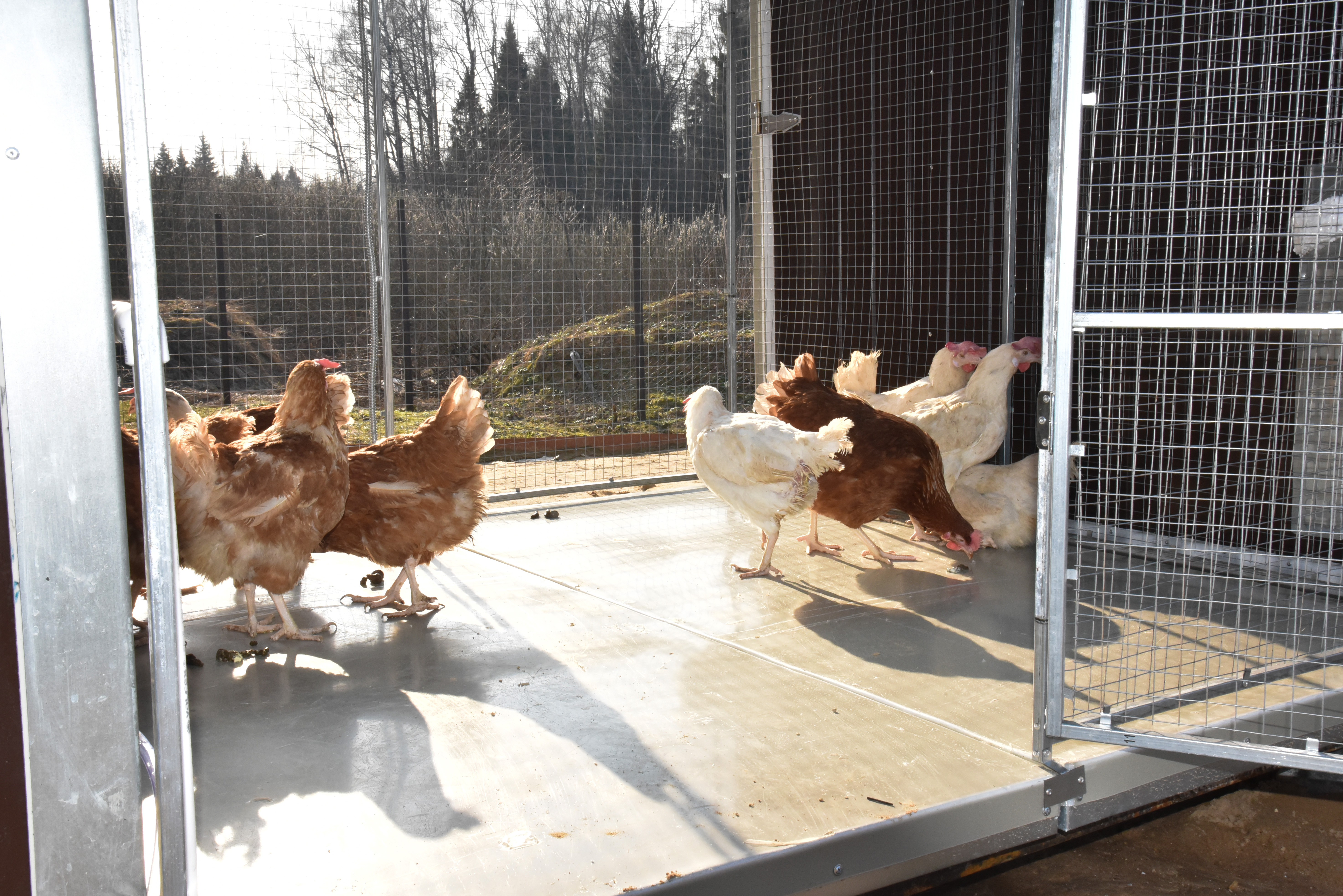 Панель пола утепленная с защитой от грызунов 90/180. Фото 7